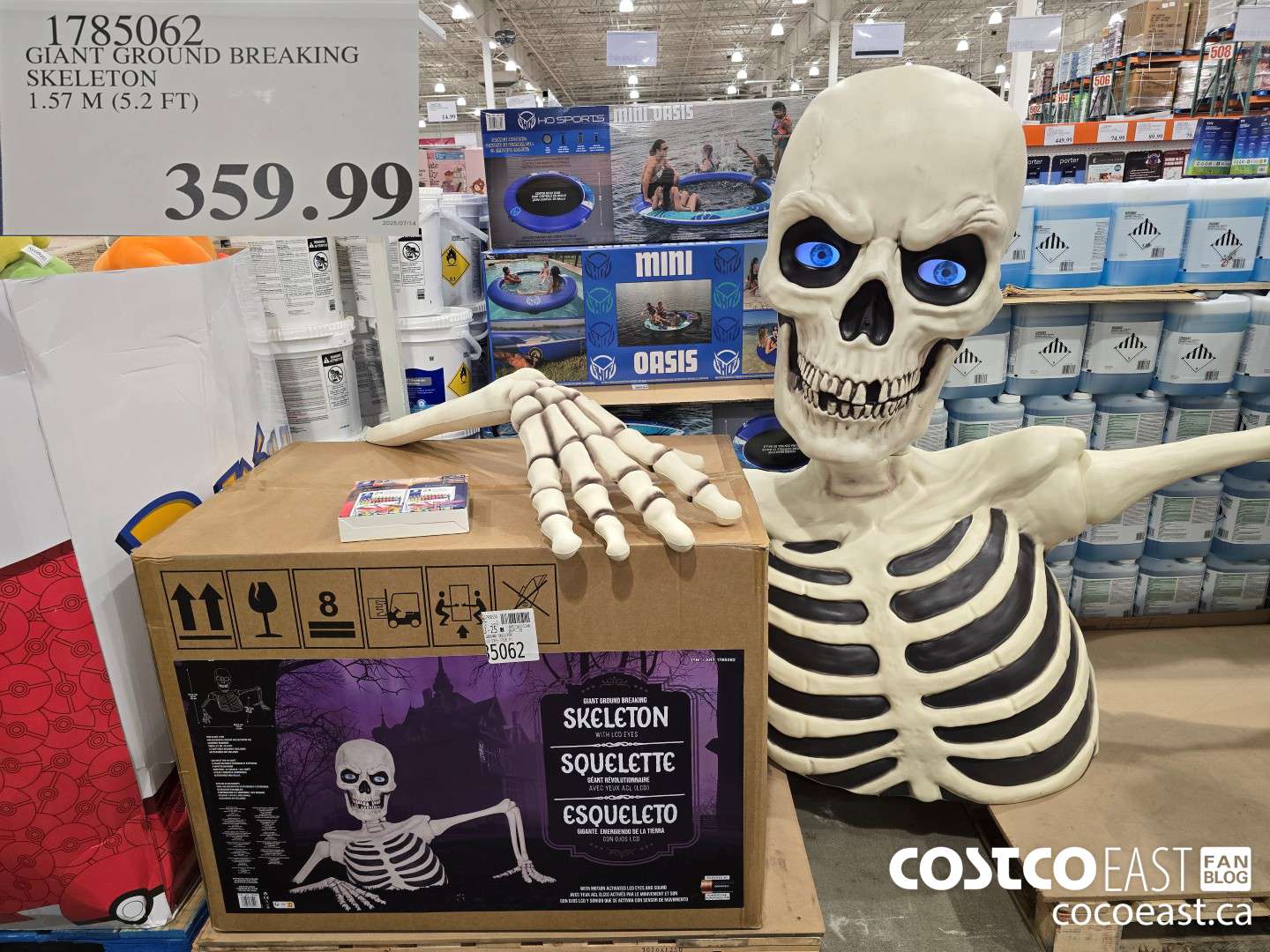 1785062 GIANT GROUND BREAKING SKELETON 1.57 M (5.2 FT) $359.99