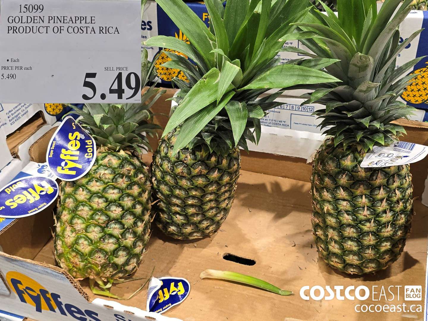 15099 GOLDEN PINEAPPLE PRODUCT OF COSTA RICA $5.49