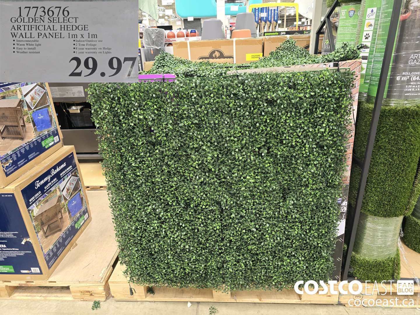 1773676 GOLDEN SELECT ARTIFICIAL HEDGE WALL PANEL 1M X 1M $29.97