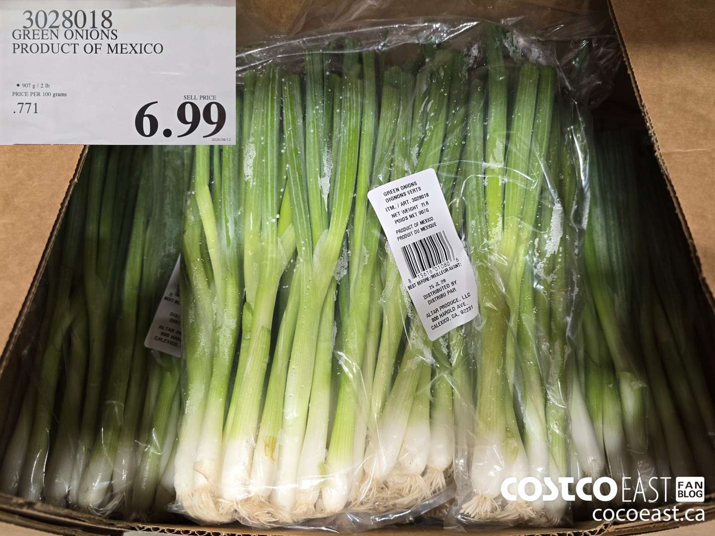 3028018 GREEN ONIONS PRODUCT OF MEXICO $6.99