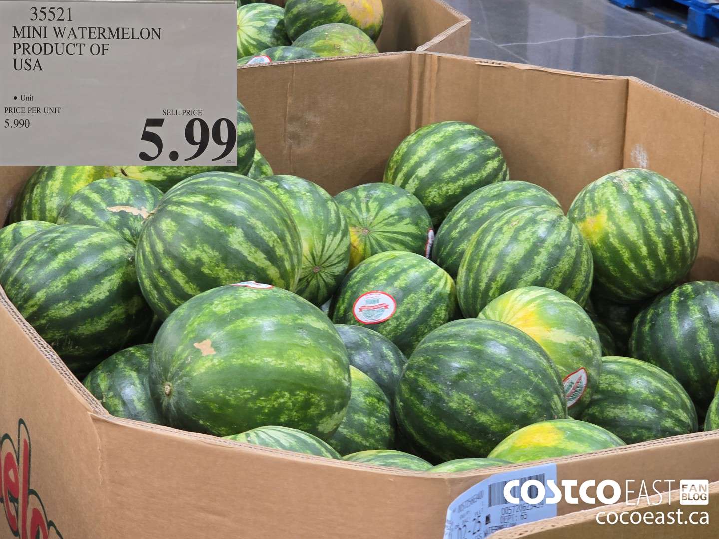 35521 MINI WATERMELON PRODUCT OF USA $5.99