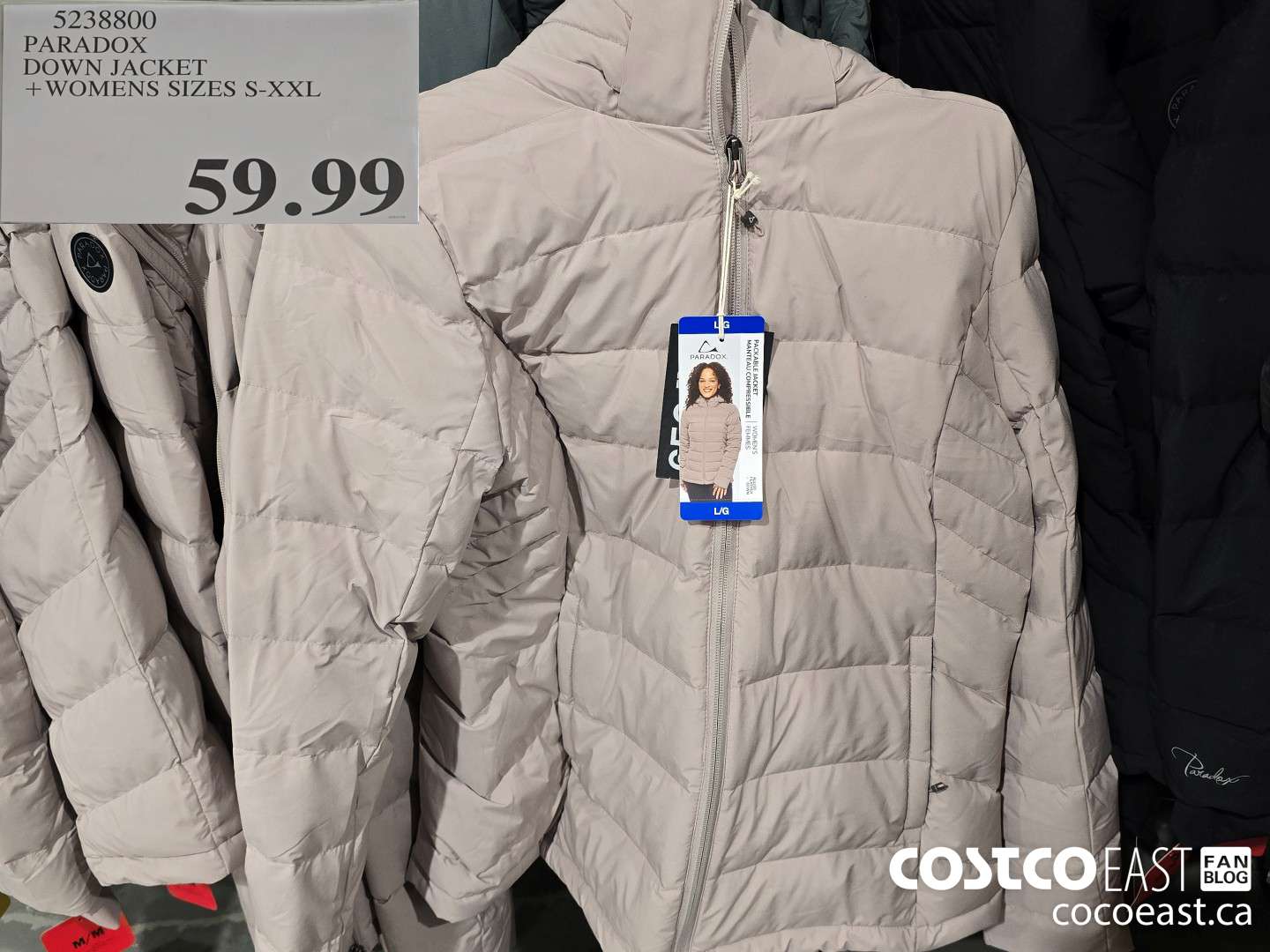 5238800 PARADOX DOWN JACKET +WOMENS SIZES S-XXL $59.99