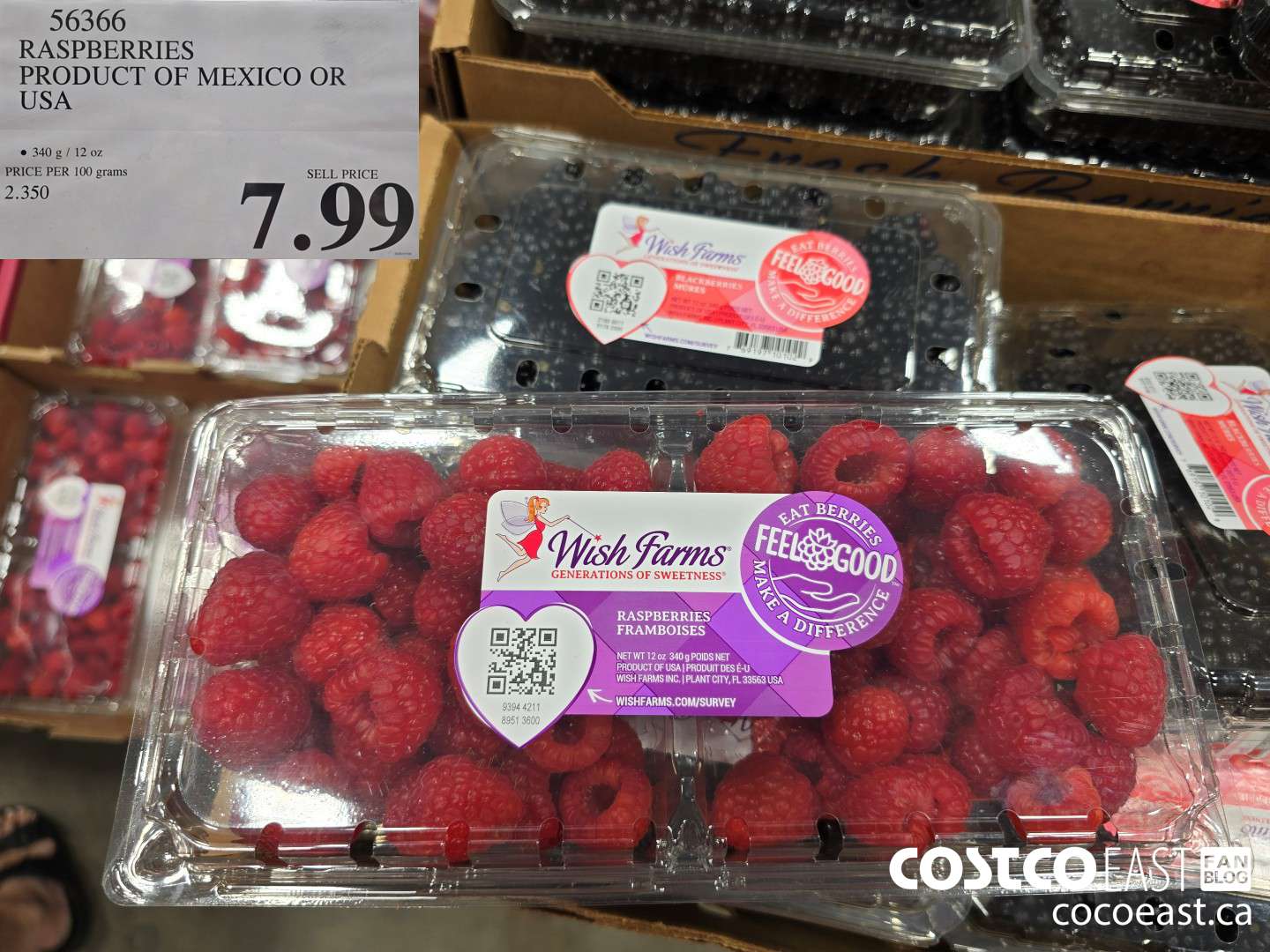 56366 RASPBERRIES PRODUCT OF MEXICO OR USA $7.99