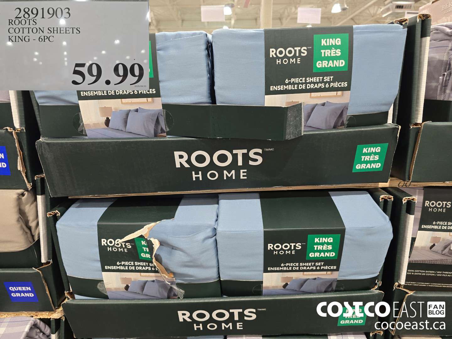 2891903 ROOTS COTTON SHEETS KING - 6PC $59.99
