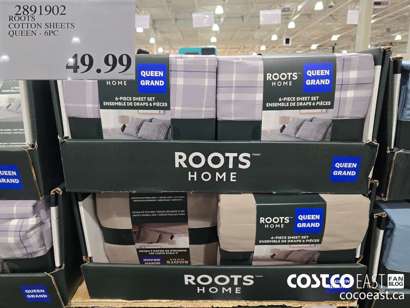 2891902 ROOTS COTTON SHEETS QUEEN - 6PC $49.99