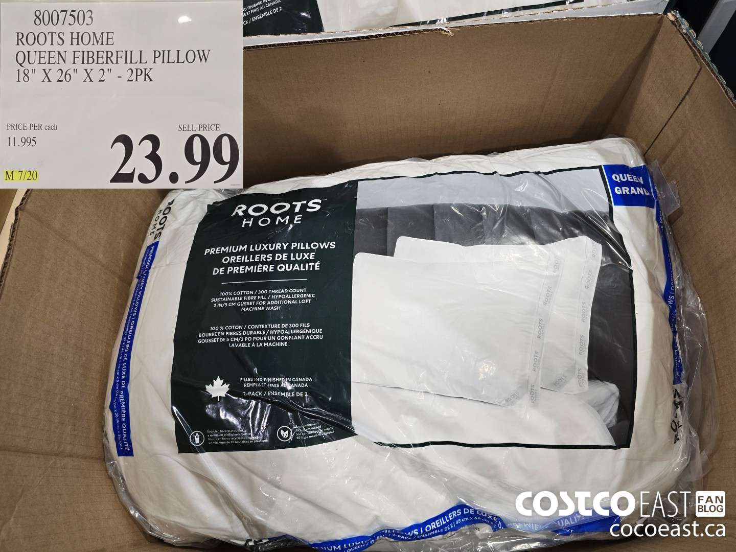 8007503 ROOTS HOME QUEEN FIBERFILL PILLOW 18