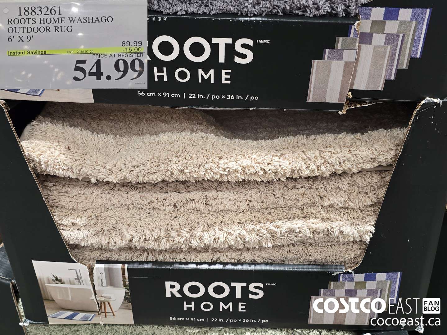 1883261 ROOTS HOME WASHAGO OUTDOOR RUG 6' X 9'  ($15.00 INSTANT SAVINGS EXPIRES ON 2025-07-20) $54.99