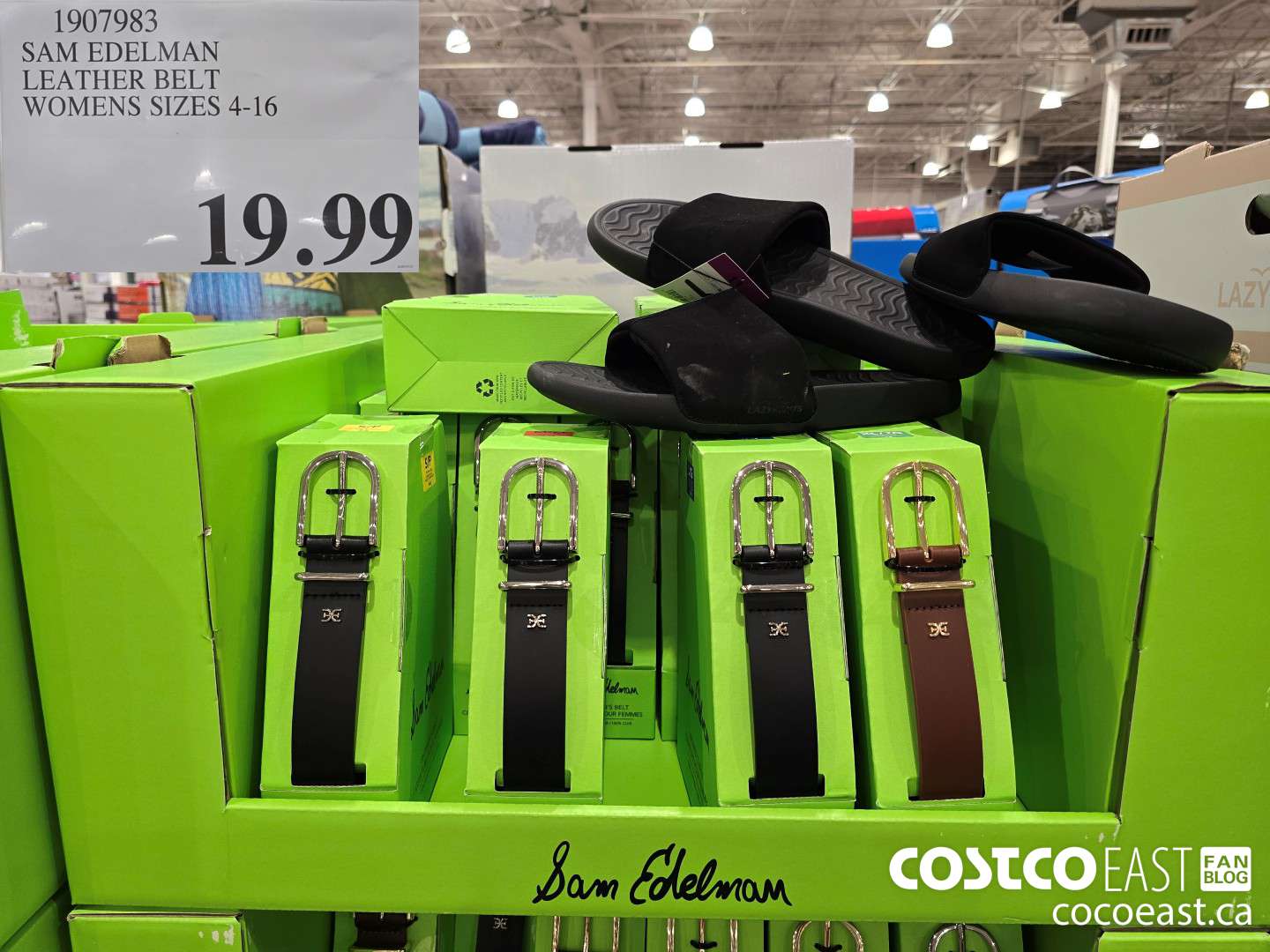 1907983 SAM EDELMAN LEATHER BELT WOMENS SIZES 4-16 $19.99