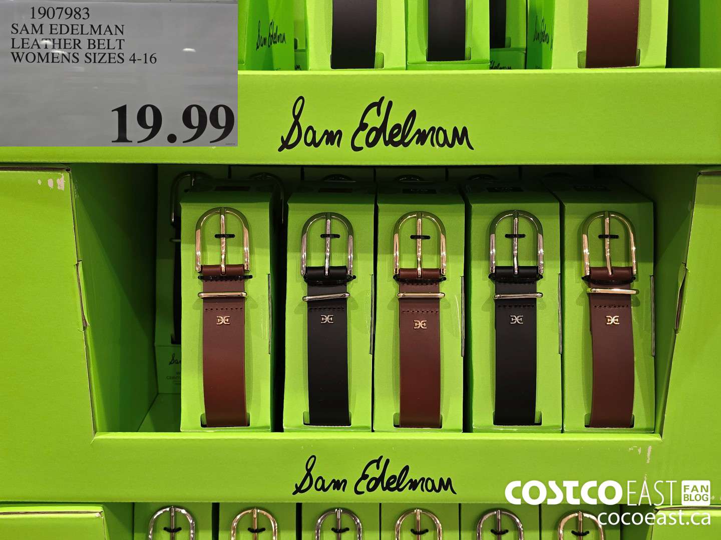 1907983 SAM EDELMAN LEAYHER BELT WOMENS SIZES 4-16 $19.99