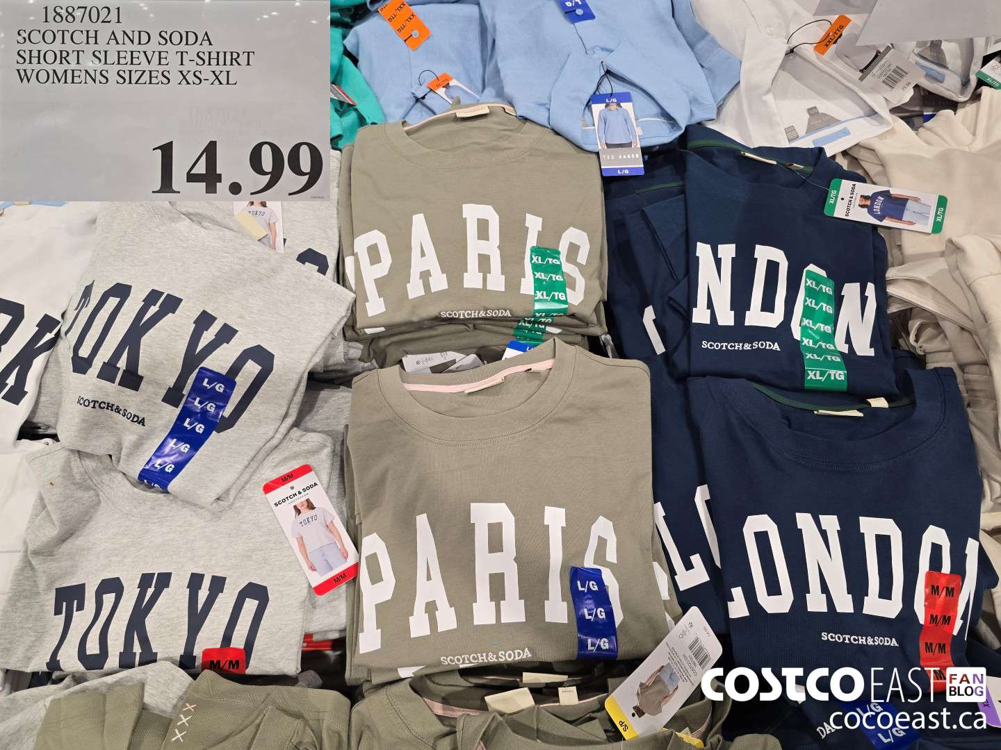 1887021 SCOTCH AND SODA SHORT SLEEVE T-SHIRT WOMENS SIZES XS-XL $14.99