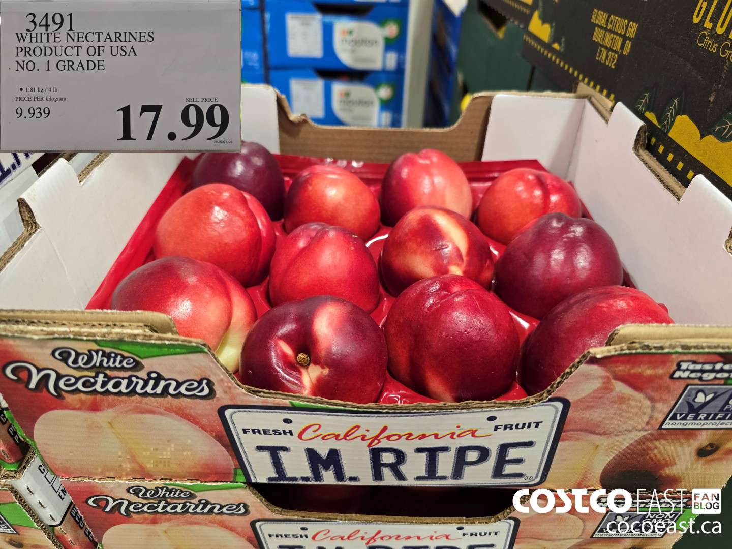 3491 WHITE NECTARINES PRODUCT OF USA NO. 1 GRADE $17.99