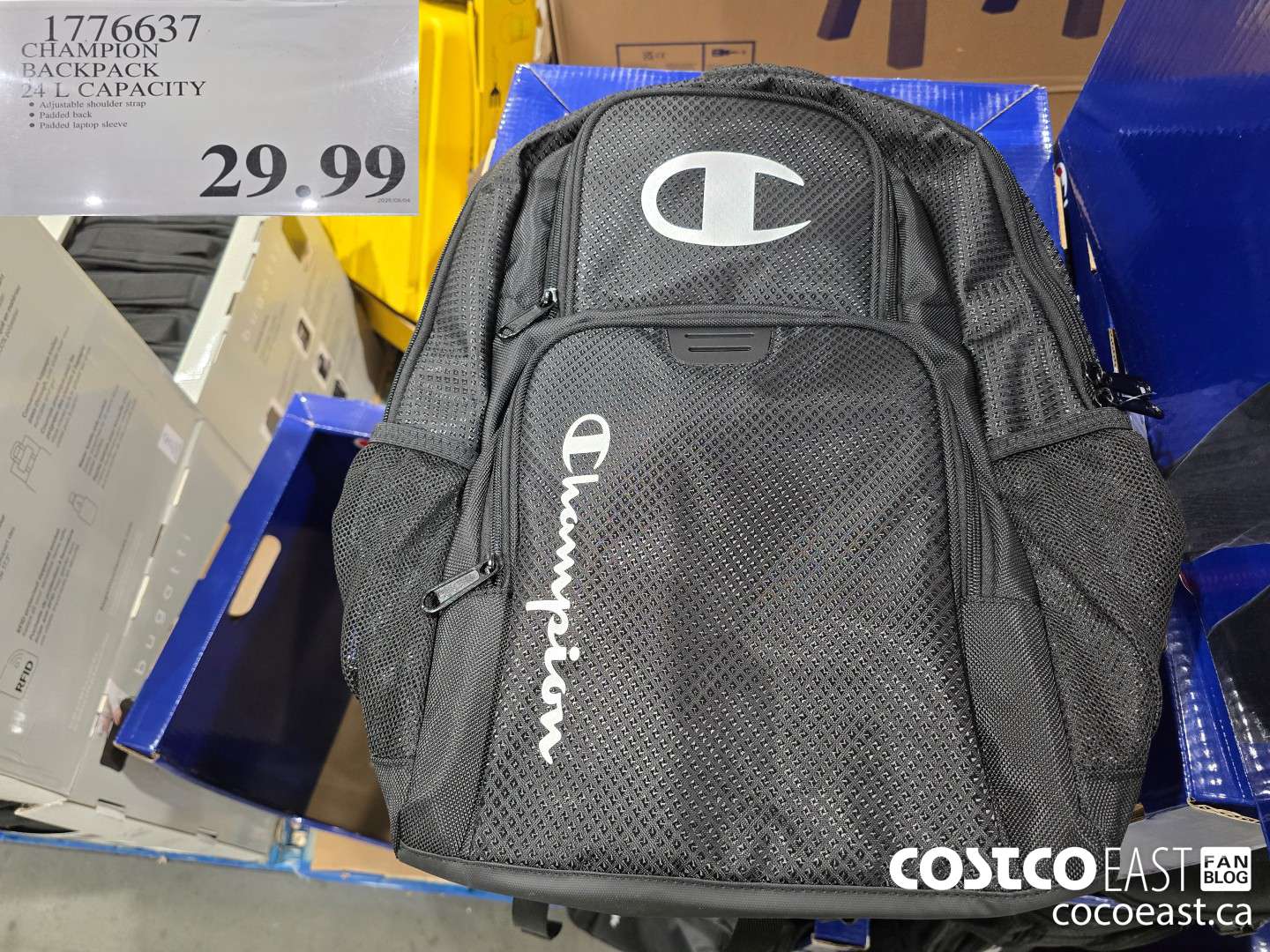 1776637 CHAMPION BACKPACK 24 L CAPACITY $29.99