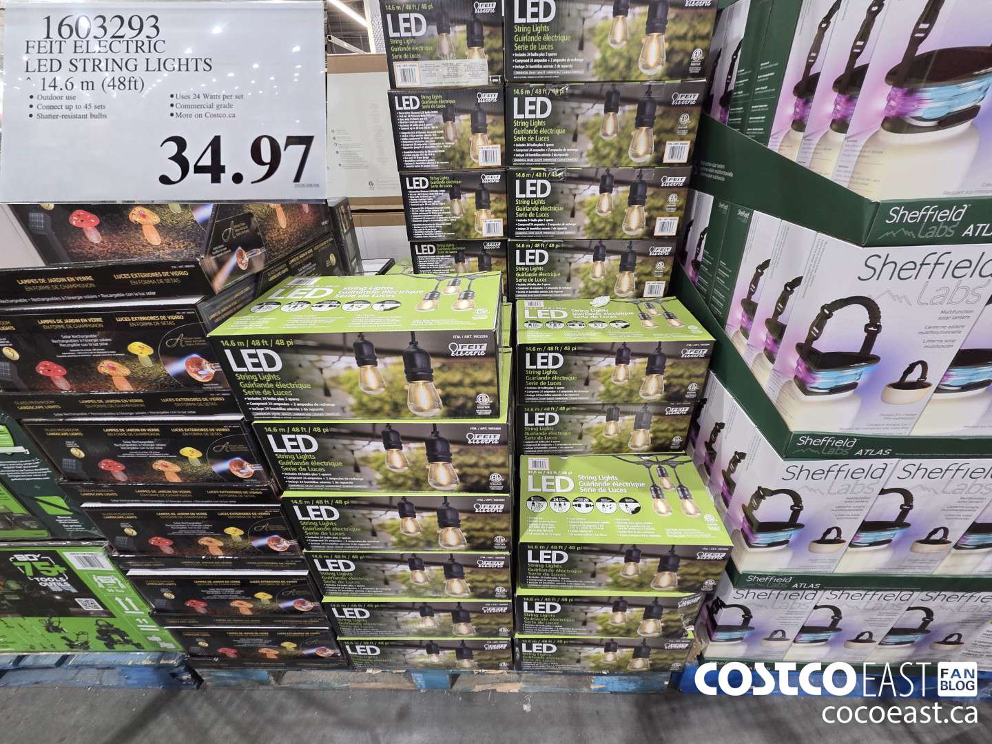 1603293 FEIT ELECTRIC LED STRING LIGHTS 14.6 m (48ft) ($15.00 INSTANT SAVINGS) $34.97