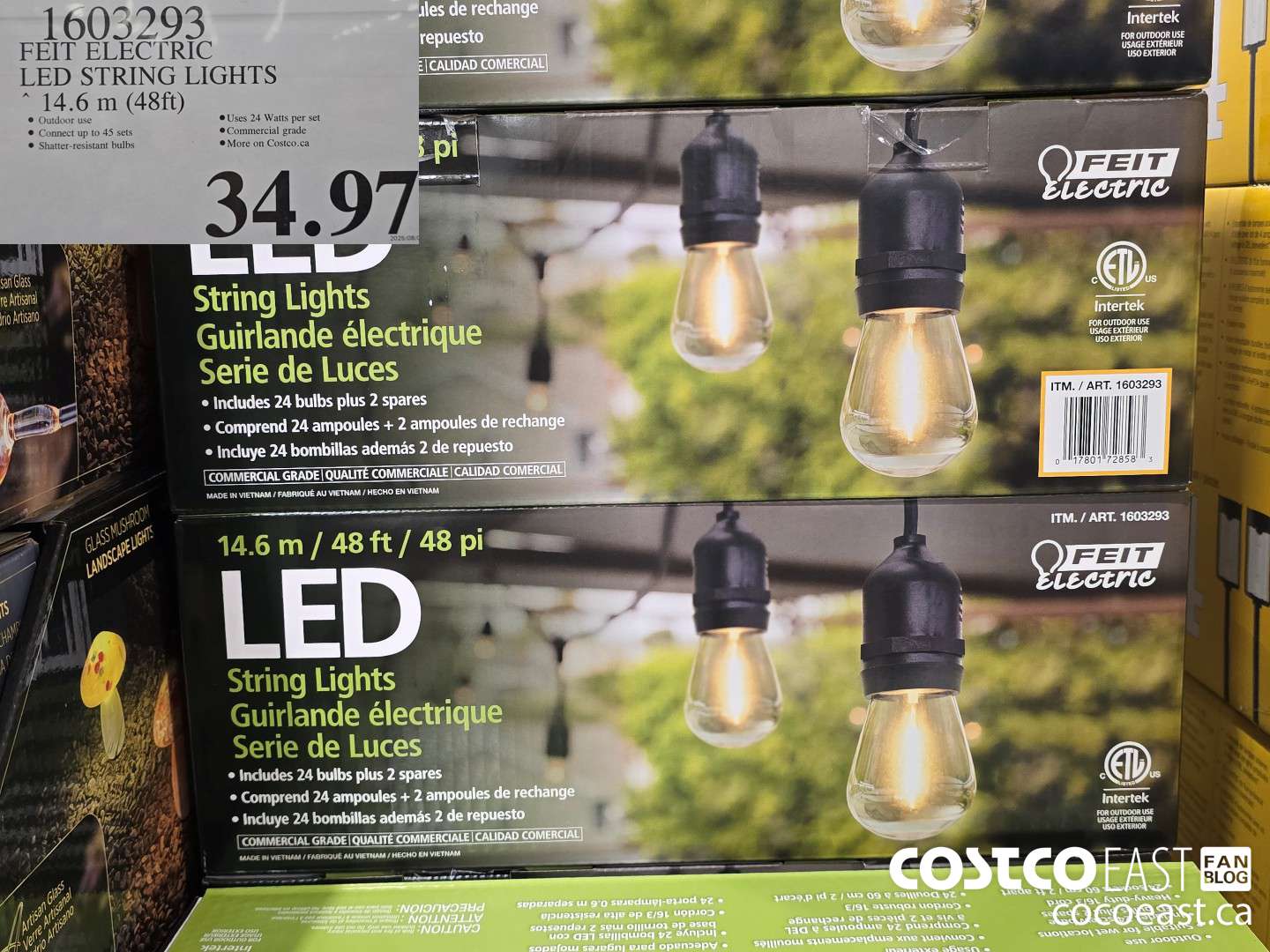 1603293 FEIT ELECTRIC LED STRING LIGHTS 14.6 m (48ft) $34.97