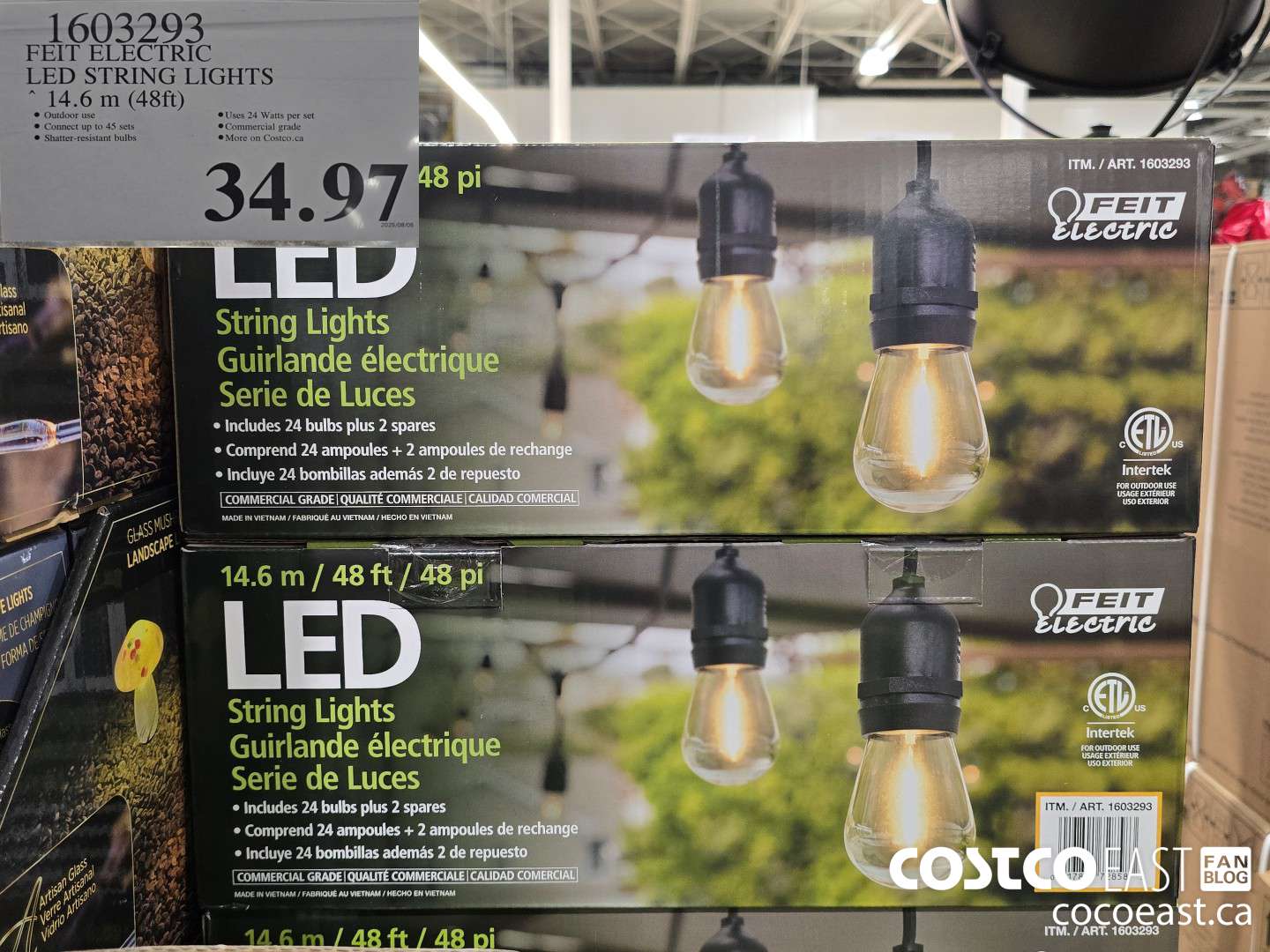 1603293 FEIT ELECTRIC LED STRING LIGHTS 14.6 m (48ft) $34.97