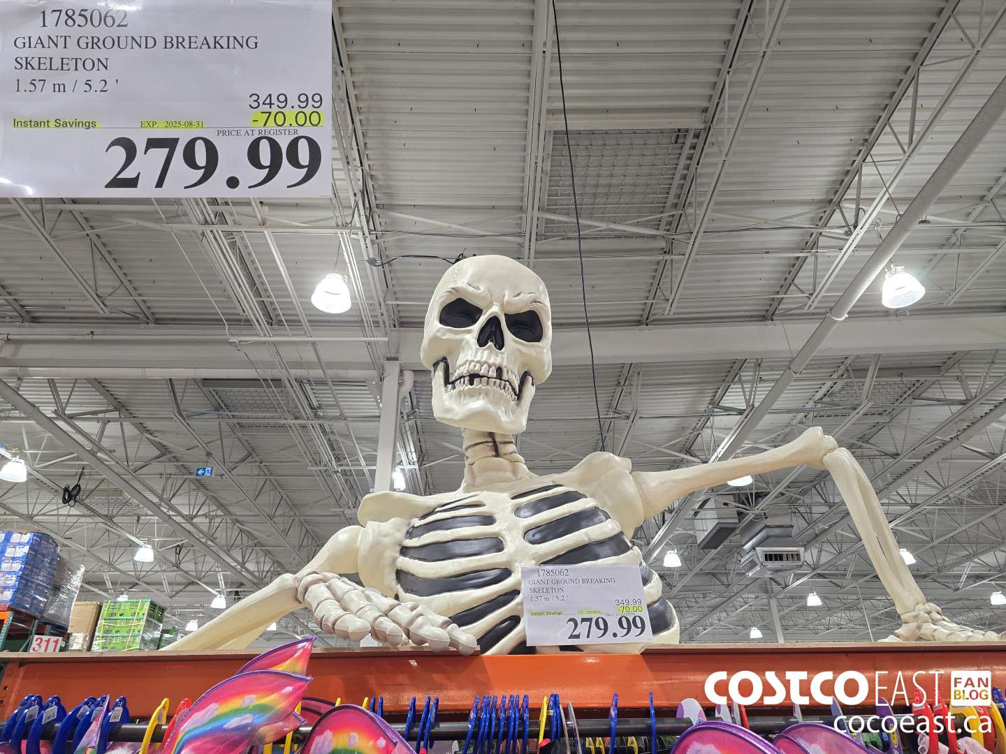 1785062 GIANT GROUND BREAKING SKELETON 1.57 M (5.2 FT) ($70.00 INSTANT SAVINGS EXPIRES ON 2025-08-31) $279.99