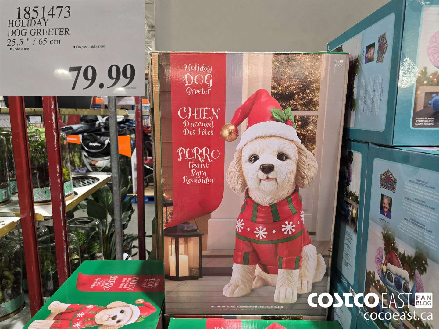1851473 HOLIDAY DOG GREETER 25.5 1 / 65 em $79.99