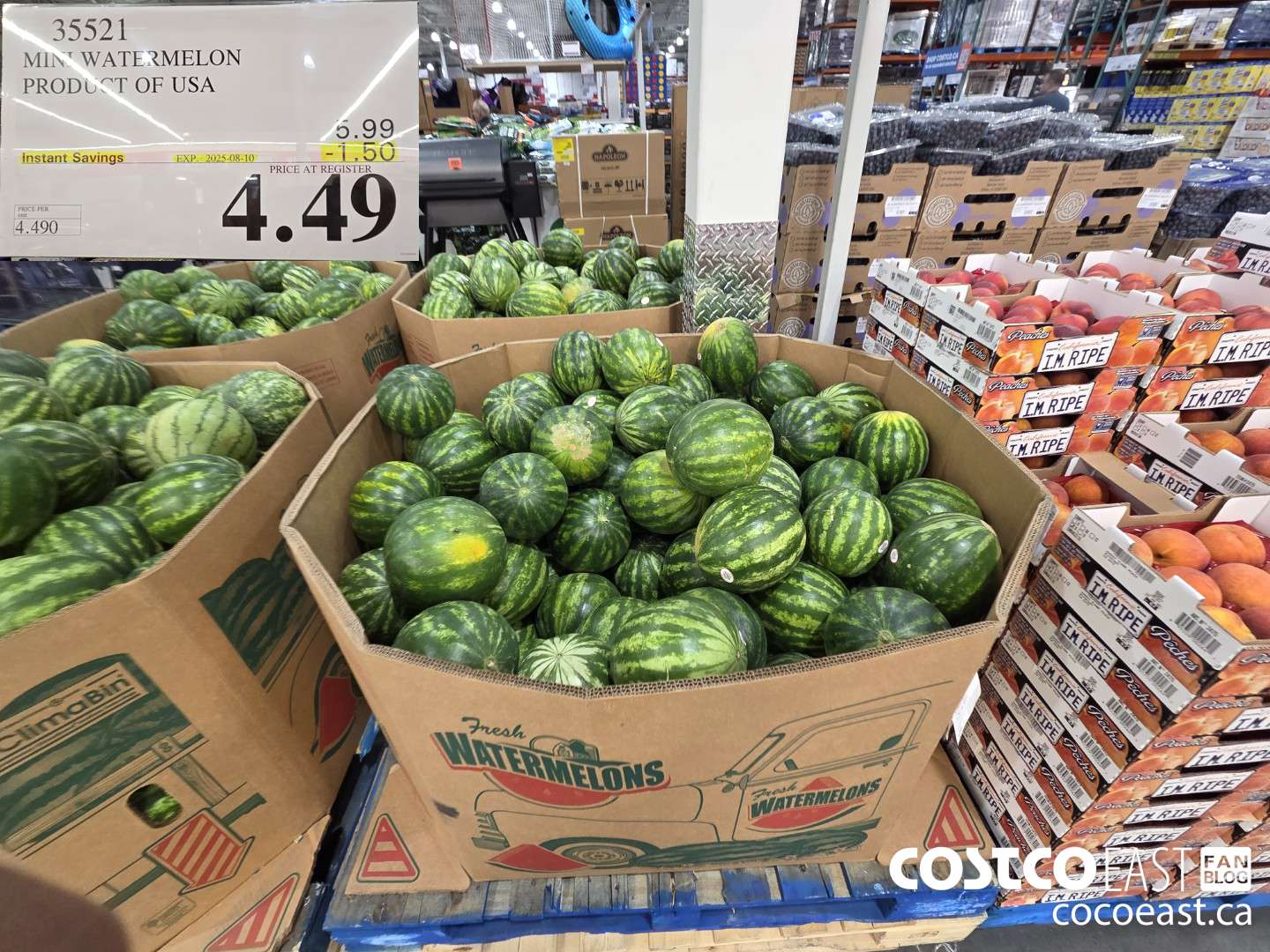 35521 MINI WATERMELON PRODUCT OF USA ($1.50 INSTANT SAVINGS EXPIRES ON 2025-08-10) $4.49