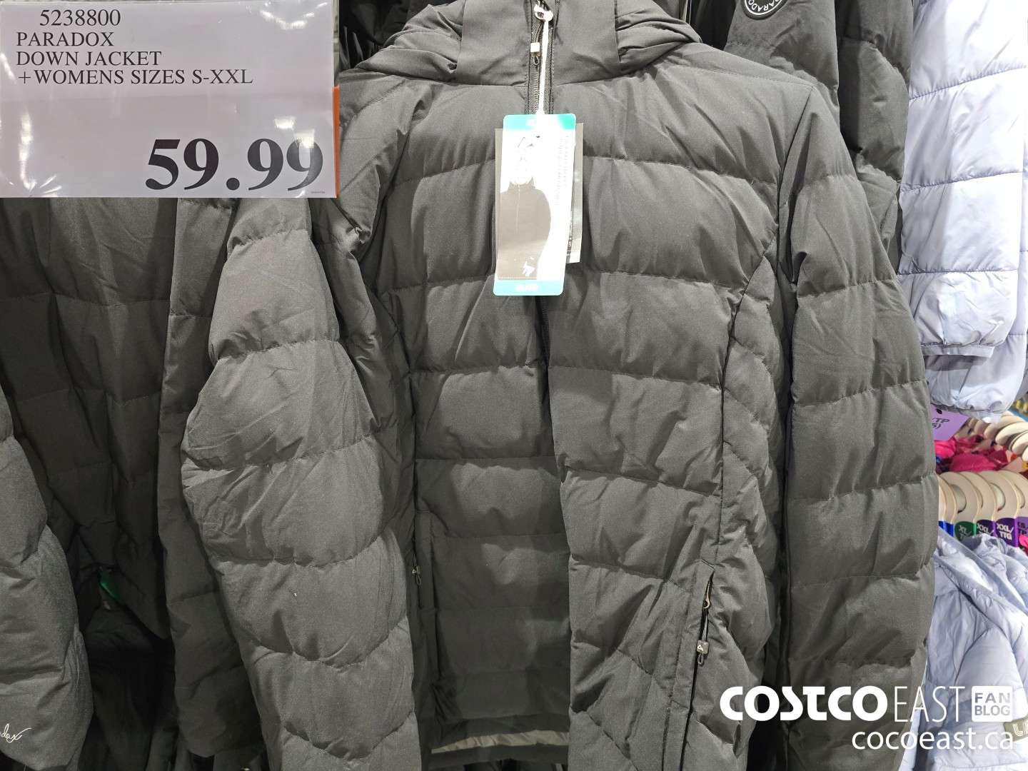 5238800 PARADOX DOWN JACKET +WOMENS SIZES S-XXL $59.99