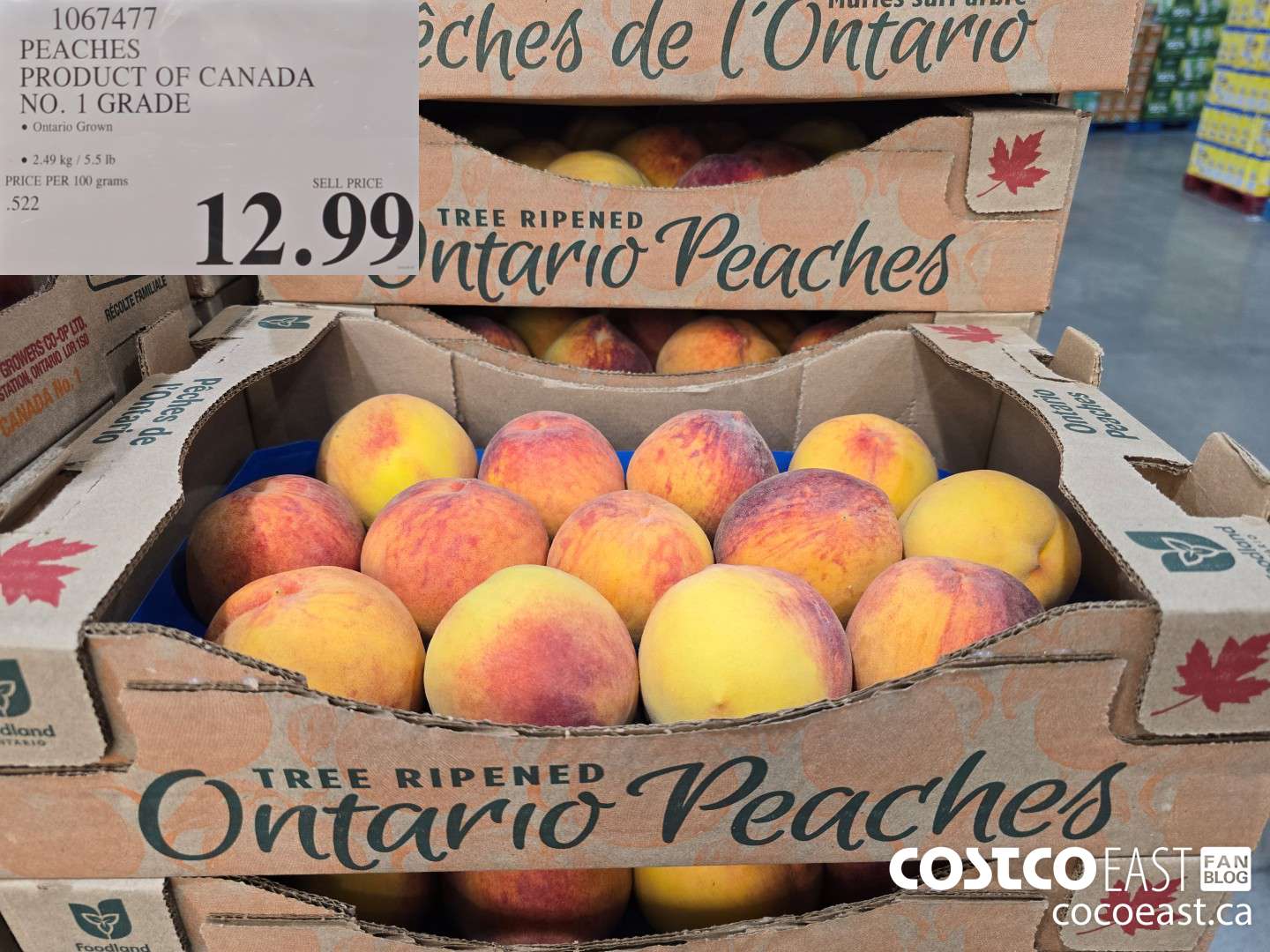 1067477 PEACHES PRODUCT OF CANADA NO. 1 GRADE $12.99