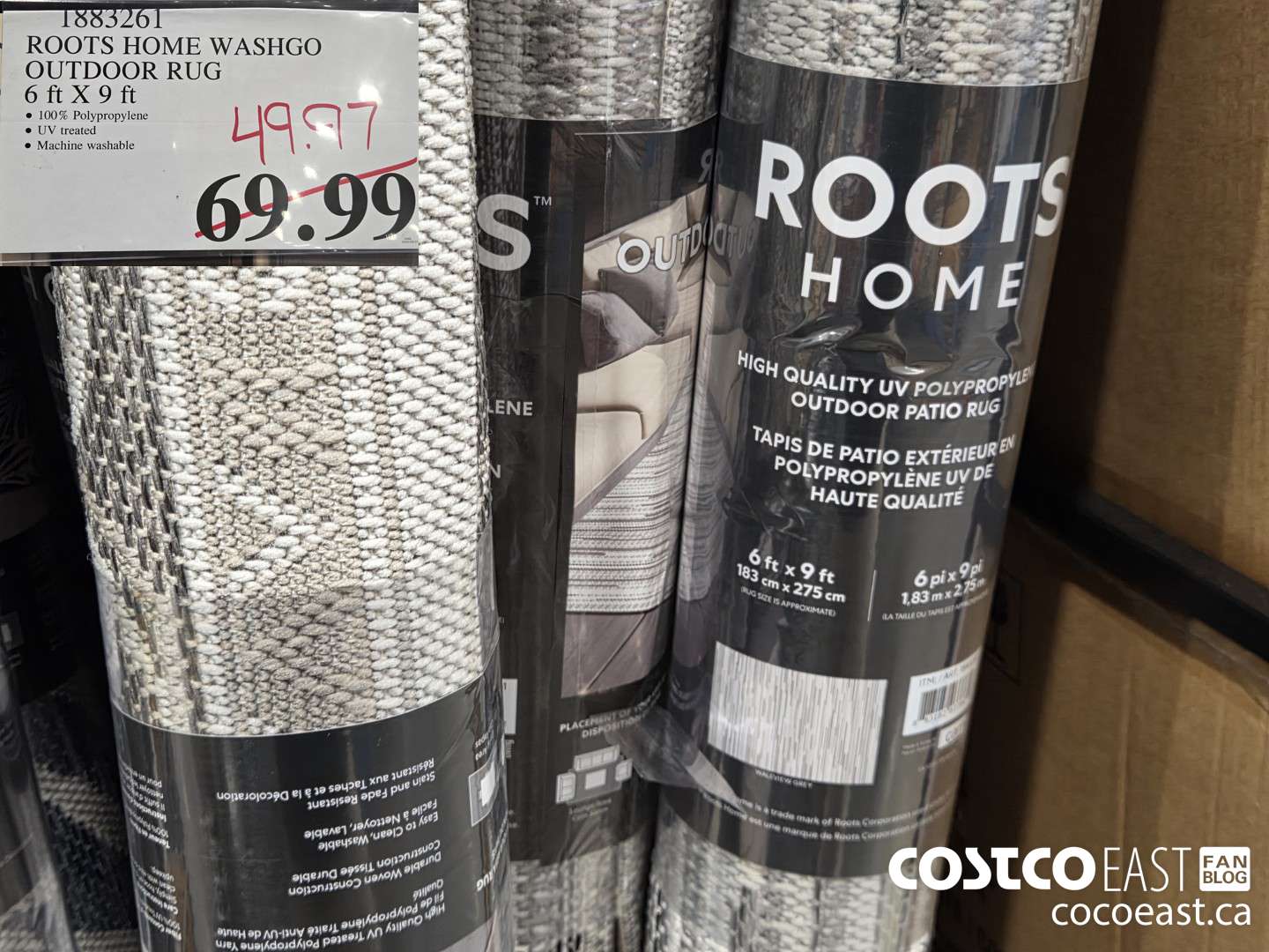 1883261 ROOTS HOME WASHAGO OUTDOOR RUG 6' X 9'  ($20.00 INSTANT SAVINGS) $49.97