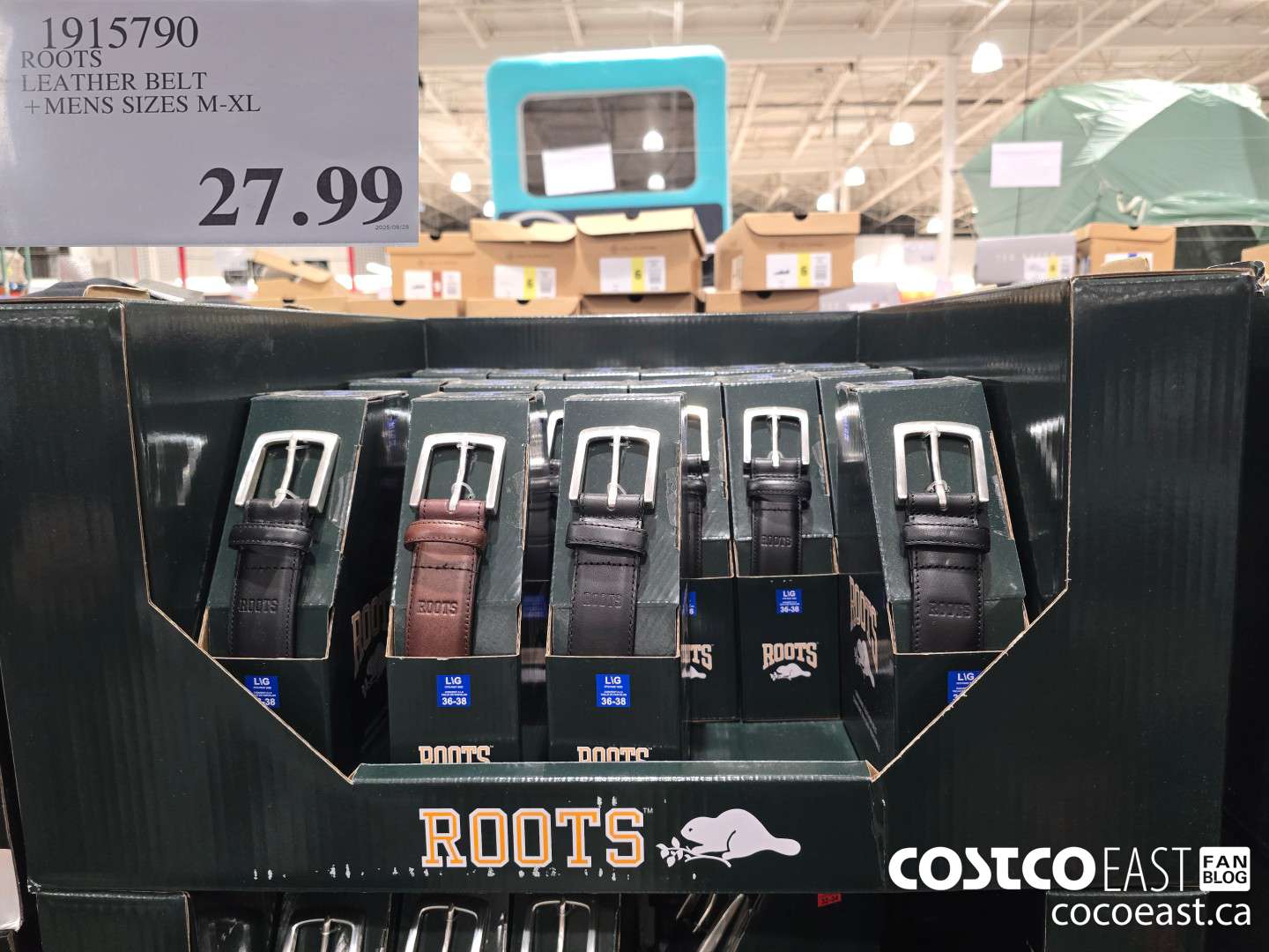 1915790 ROOTS LEATHER BELT + MENS SIZES M-XL $27.99