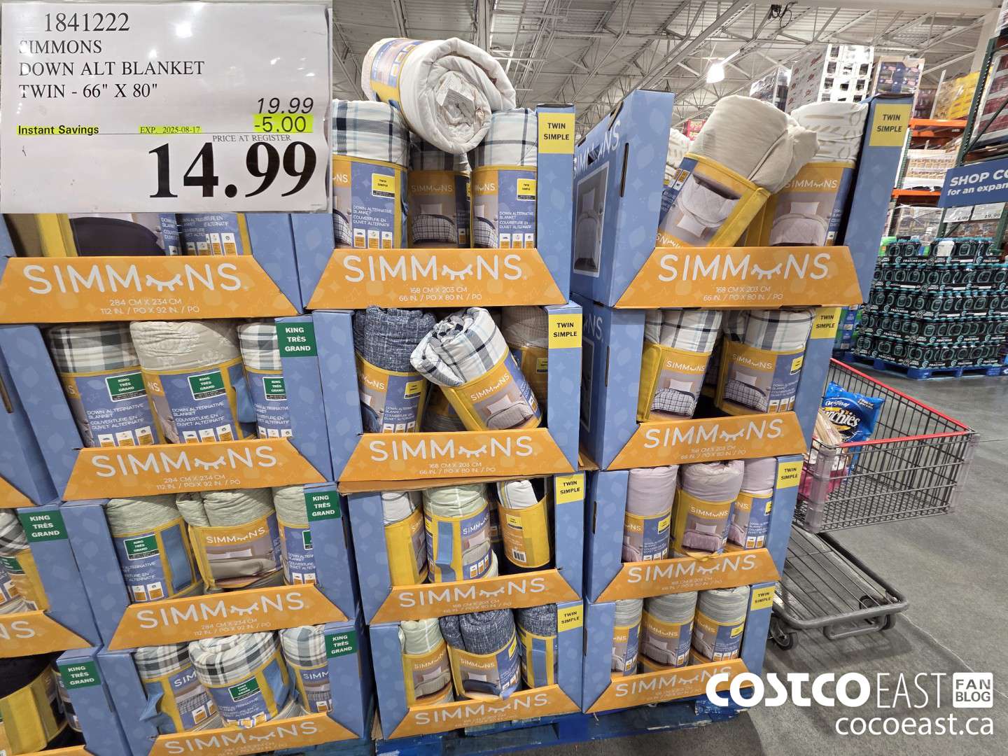 1841222 SIMMONS DOWN ALT BLANKET TWIN - 66