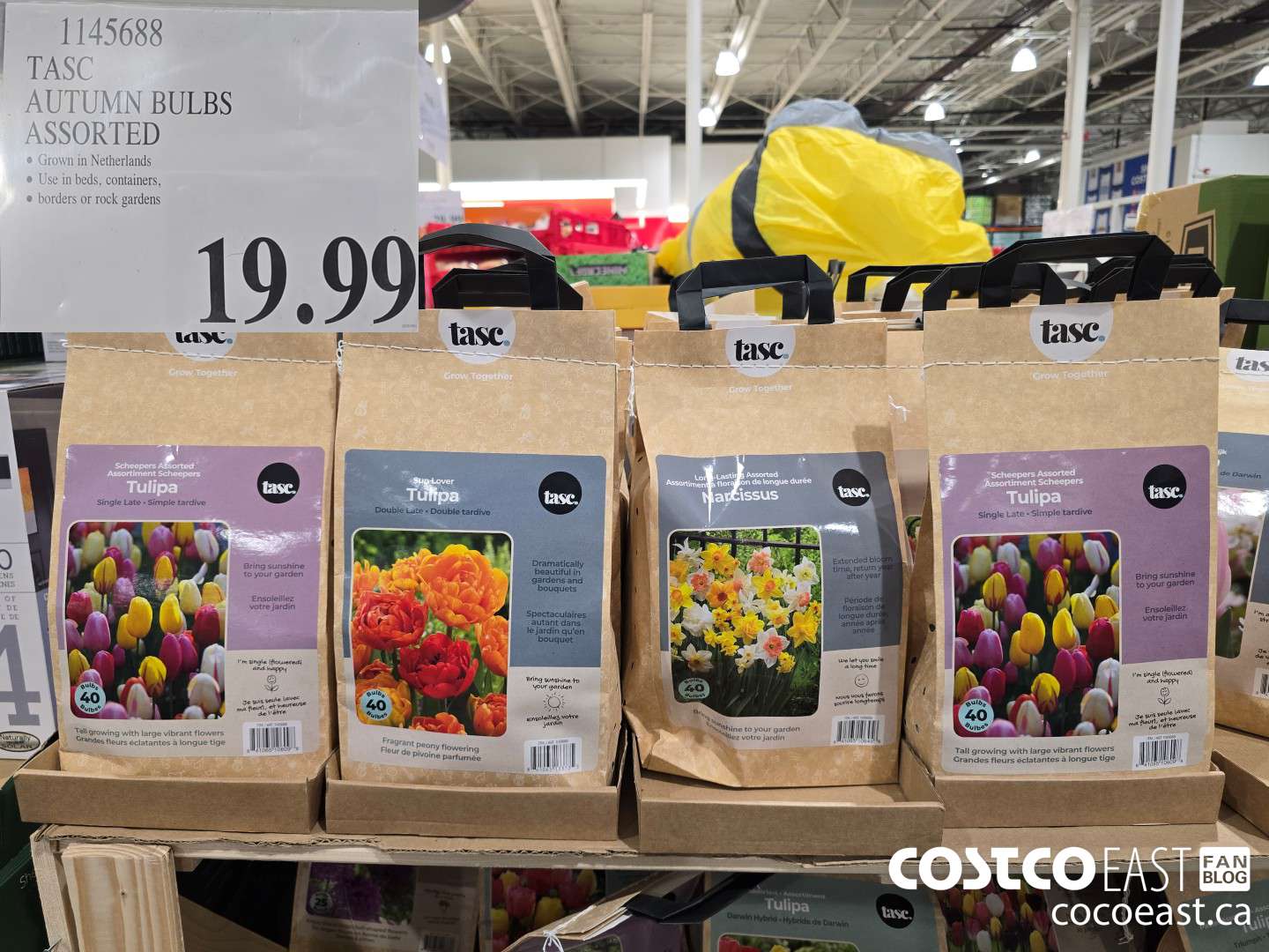 1145688 TASC AUTUMN BULBS ASSORTED $19.99