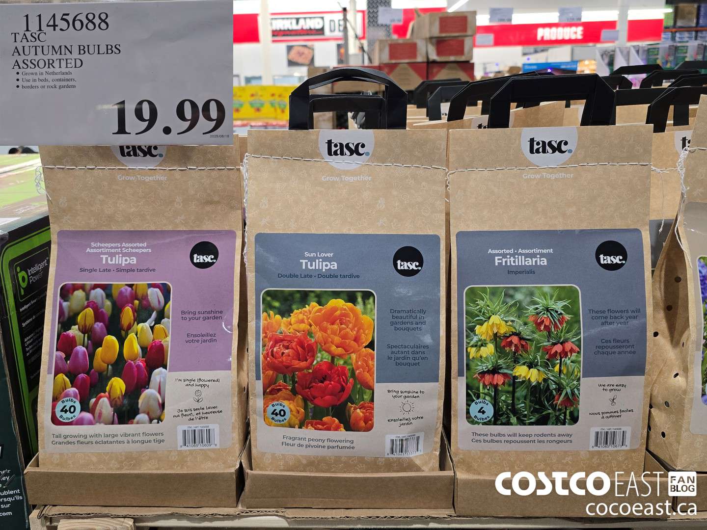 1145688 TASC AUTUMN BULBS ASSORTED $19.99