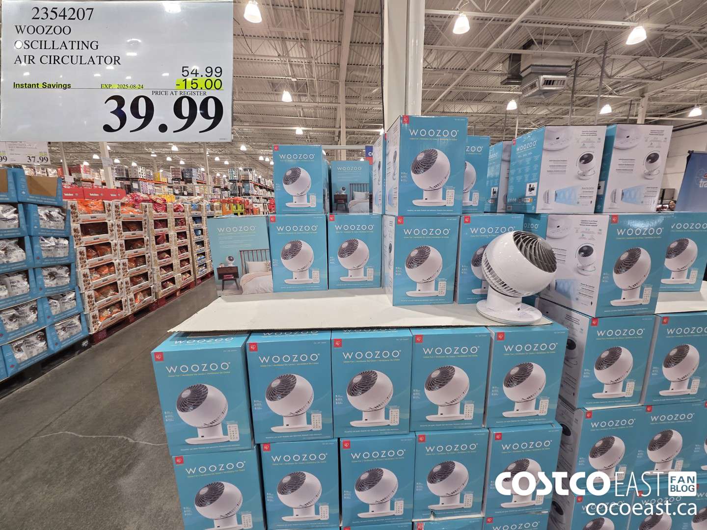 2354207 WOOZOO OSCILLATING AIR CIRCULATOR ($15.00 INSTANT SAVINGS EXPIRES ON 2025-08-24) $32.99