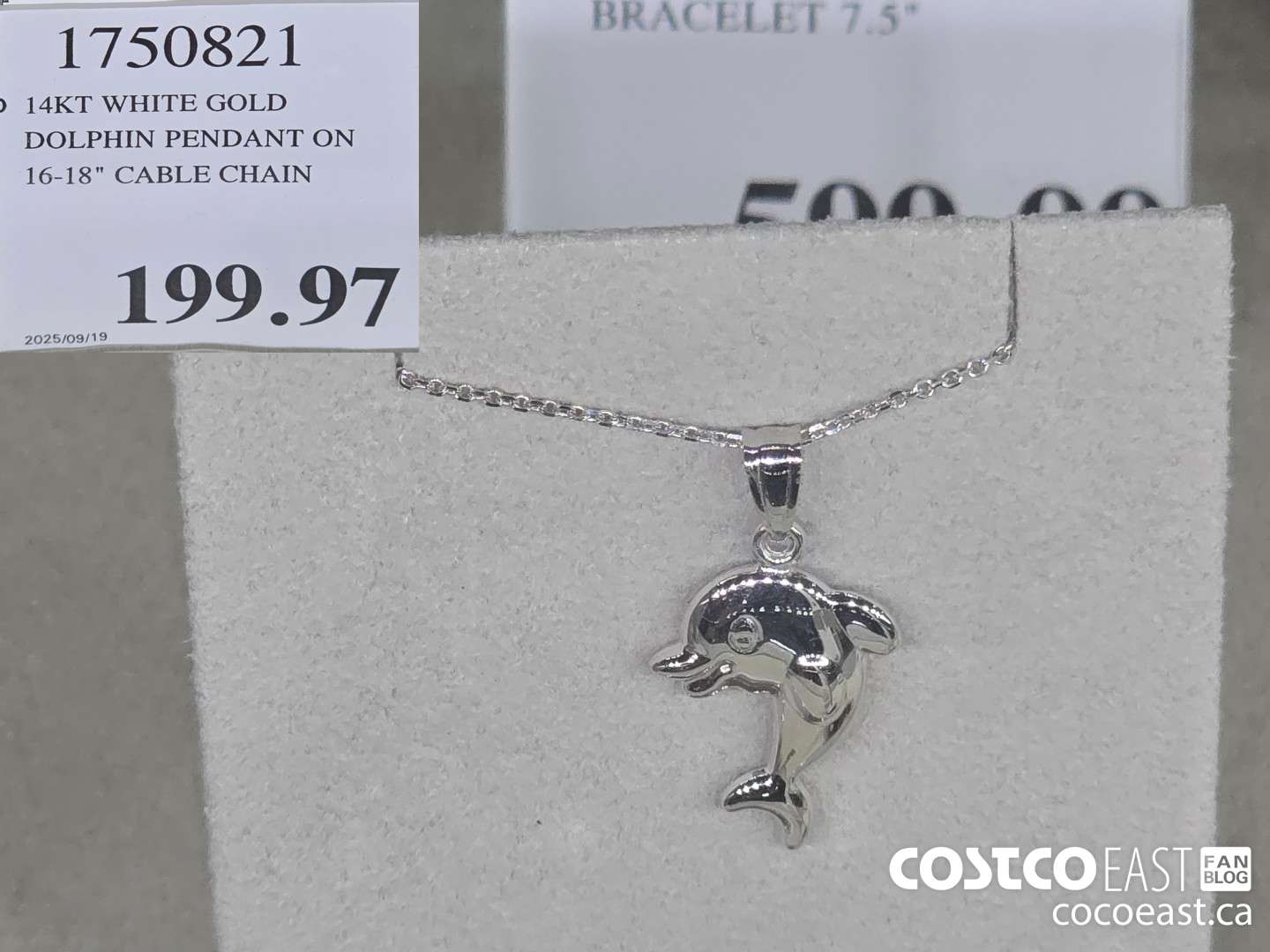 1750821 14KT WHITE GOLD DOLPHIN PENDANT ON 16-18