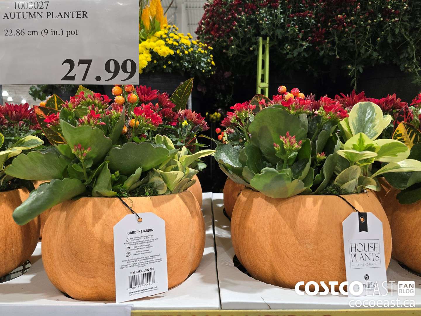 1003027 AUTUMN PLANTER 22.86 cm (9 in.) POT $27.99