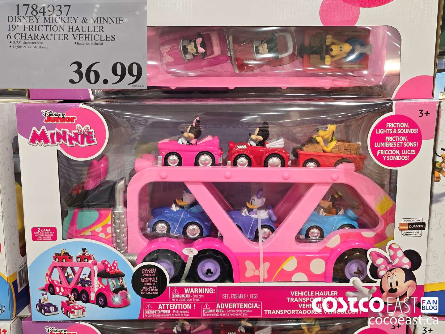 1784937 DISNEY MICKEY & MINNIE 19