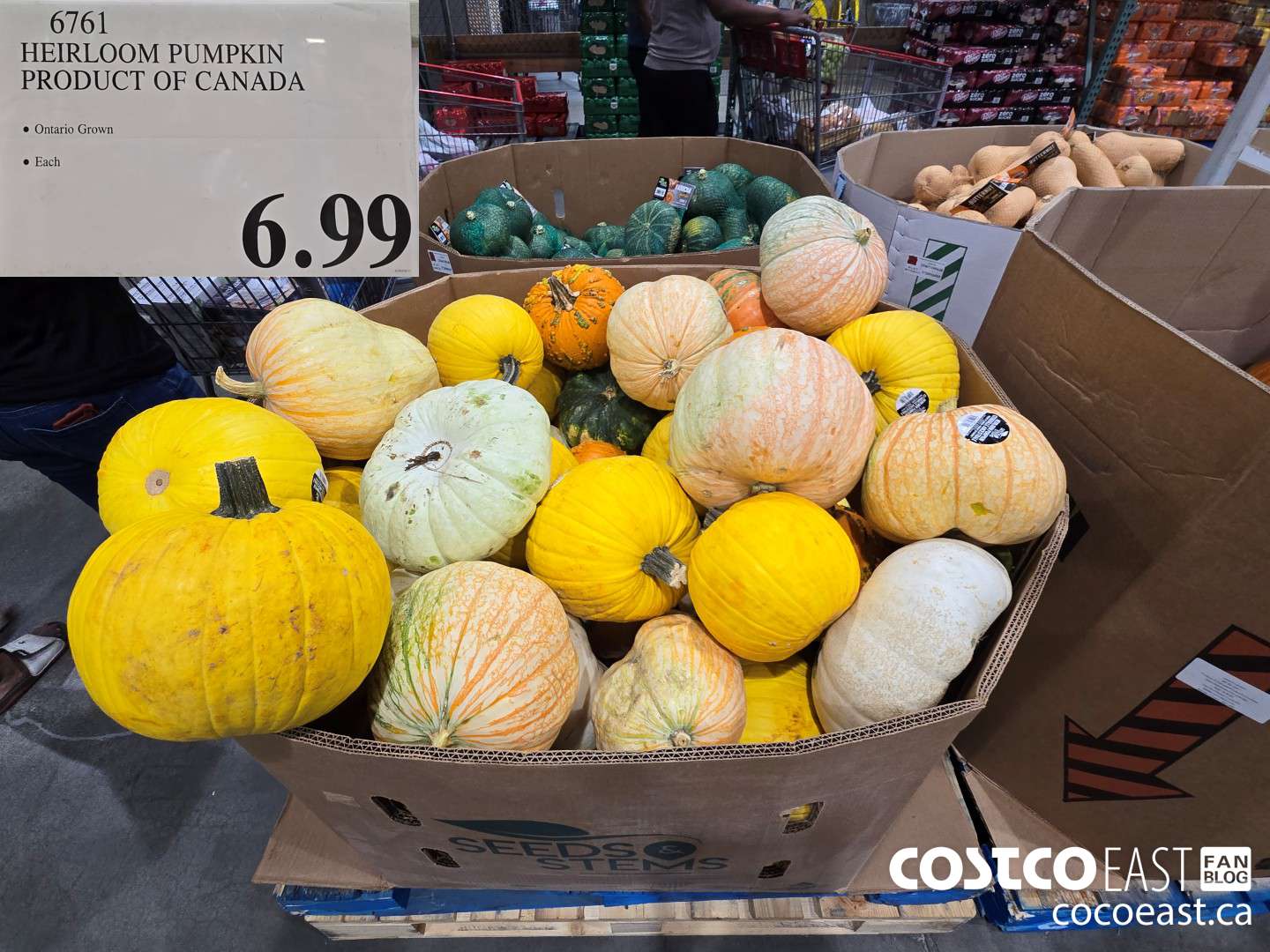 6761 HEIRLOOM PUMPKIN PRODUCT OF CANADA $6.99