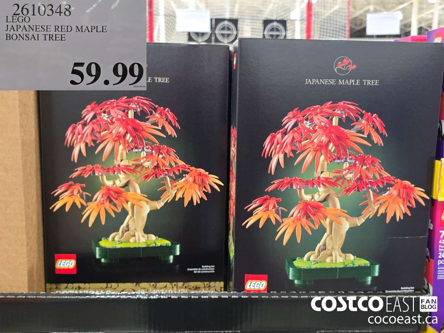 2610348 LEGO JAPANESE RED MAPLE BONSAI TREE $59.99
