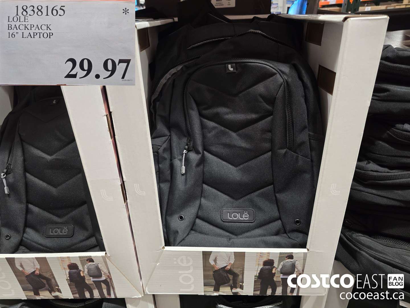 1838165 LOLE BACKPACK 16