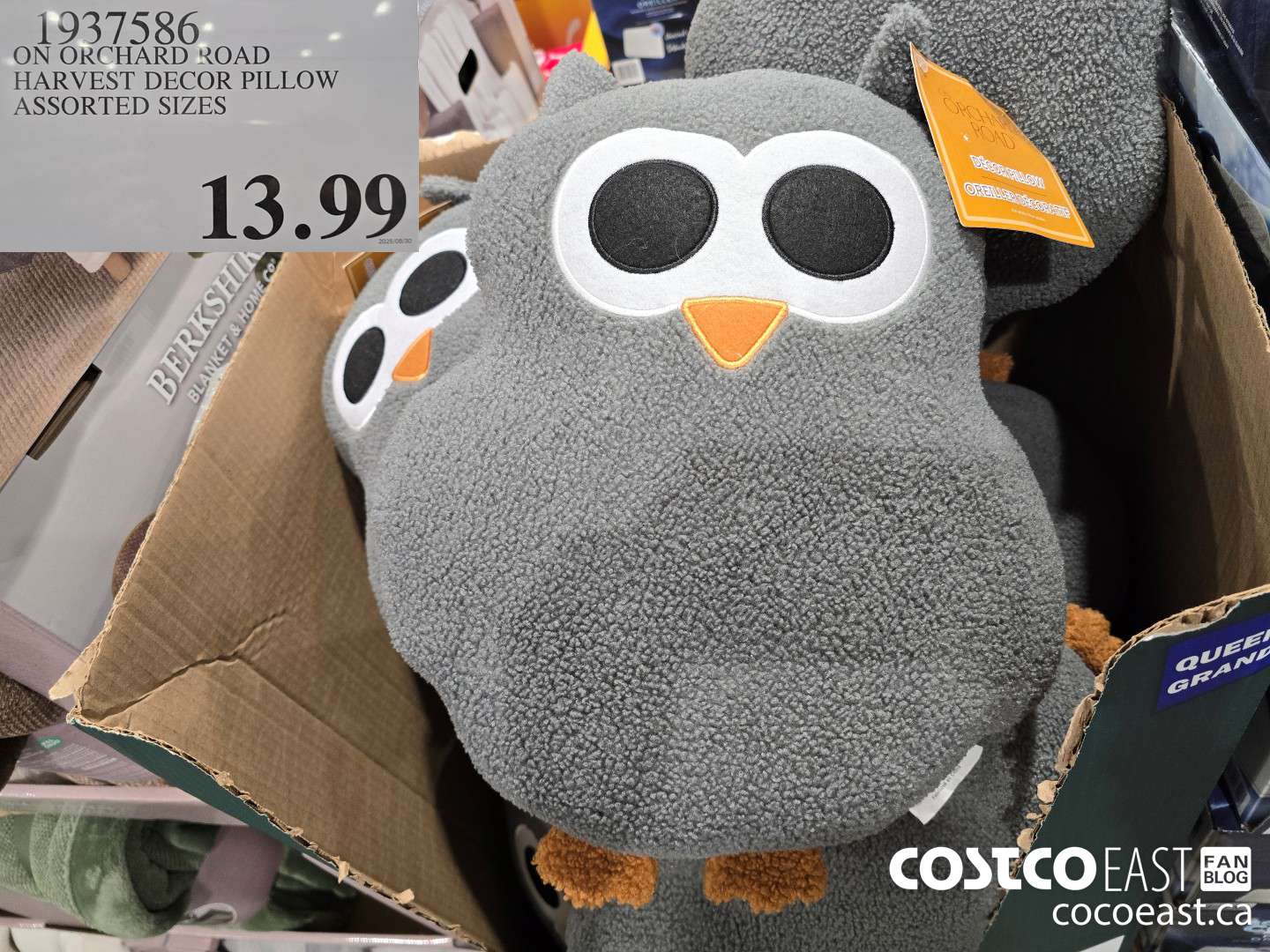 1937586 ON ORCHARD ROAD HARVEST DECOR PILLOW ASSORTED SIZES $13.99