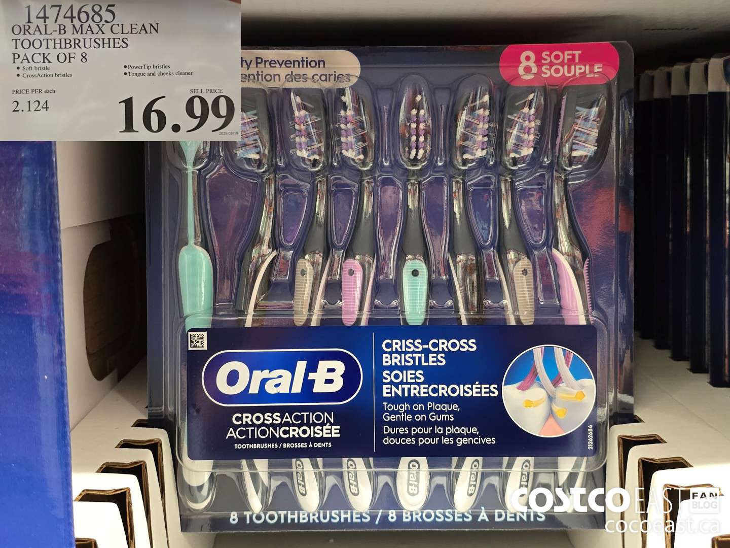 1474685 ORAL-B MAX CLEAN TOOTHBRUSHES PACK OF 8 $16.99