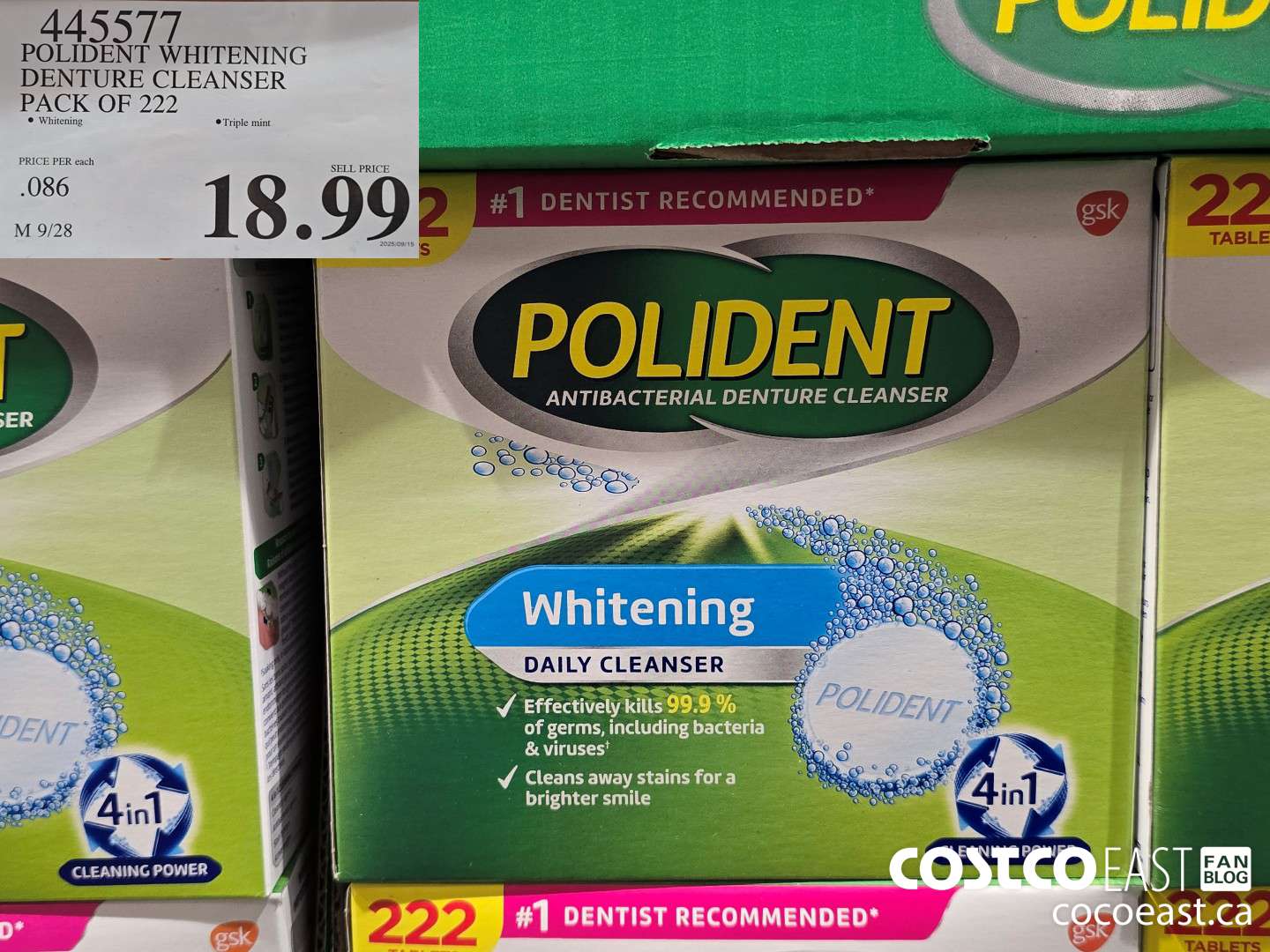 445577 POLIDENT WHITENING DENTURE CLEANSER PACK OF 222 $18.99