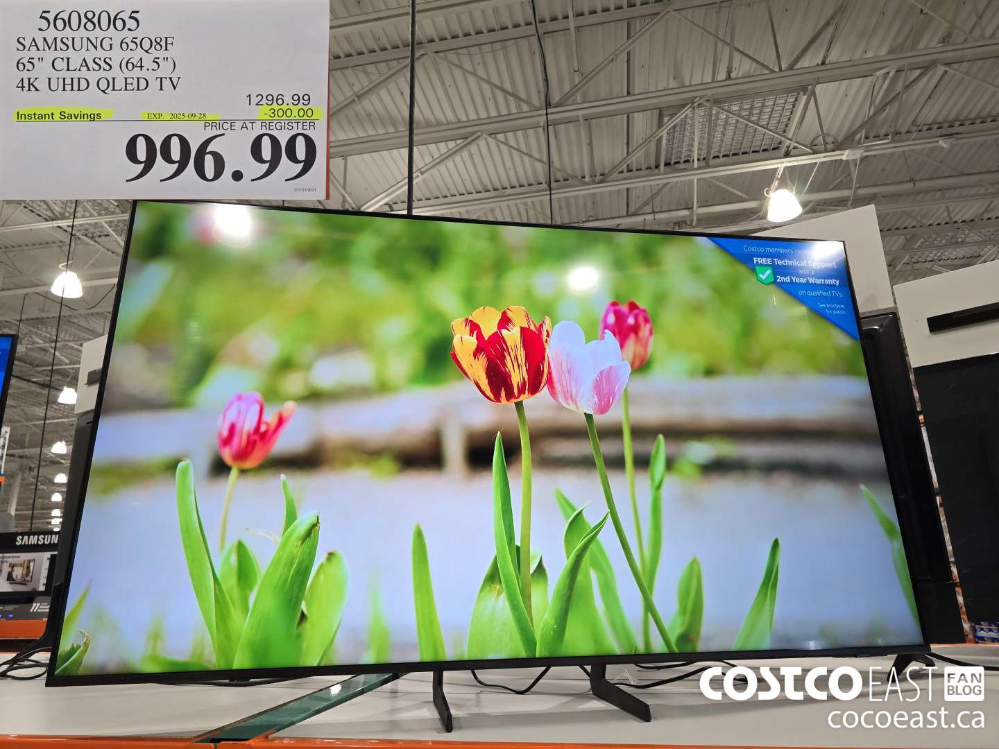 5608065 SAMSUNG 65Q8F 65