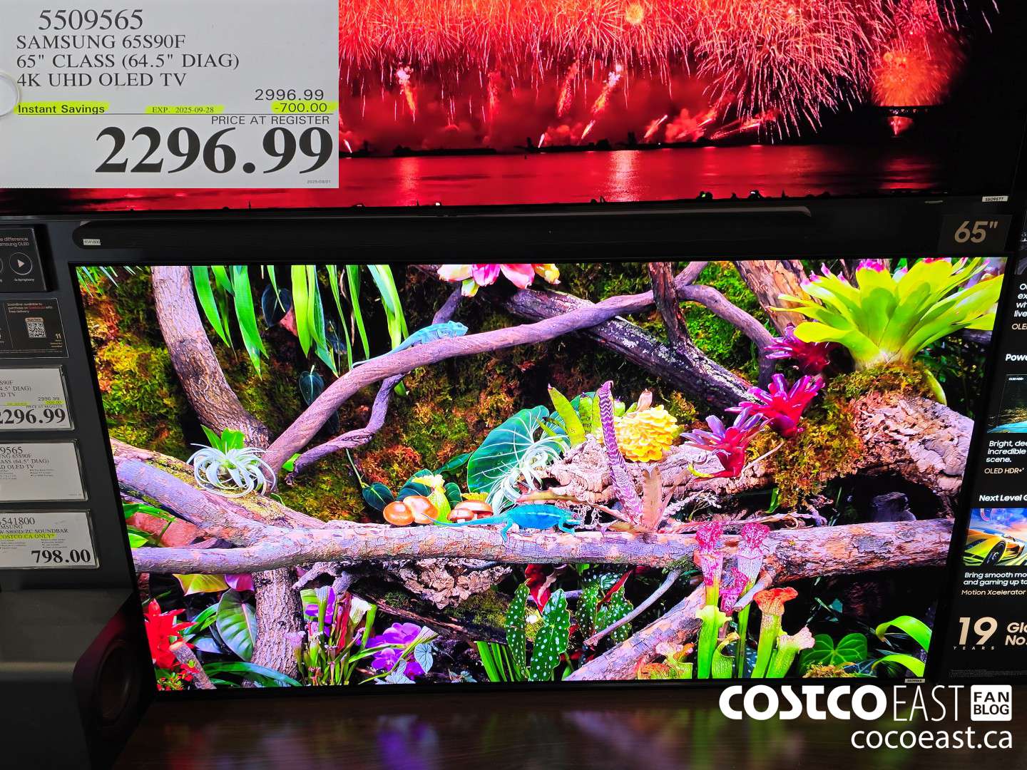 5509565 SAMSUNG 65S90F 65