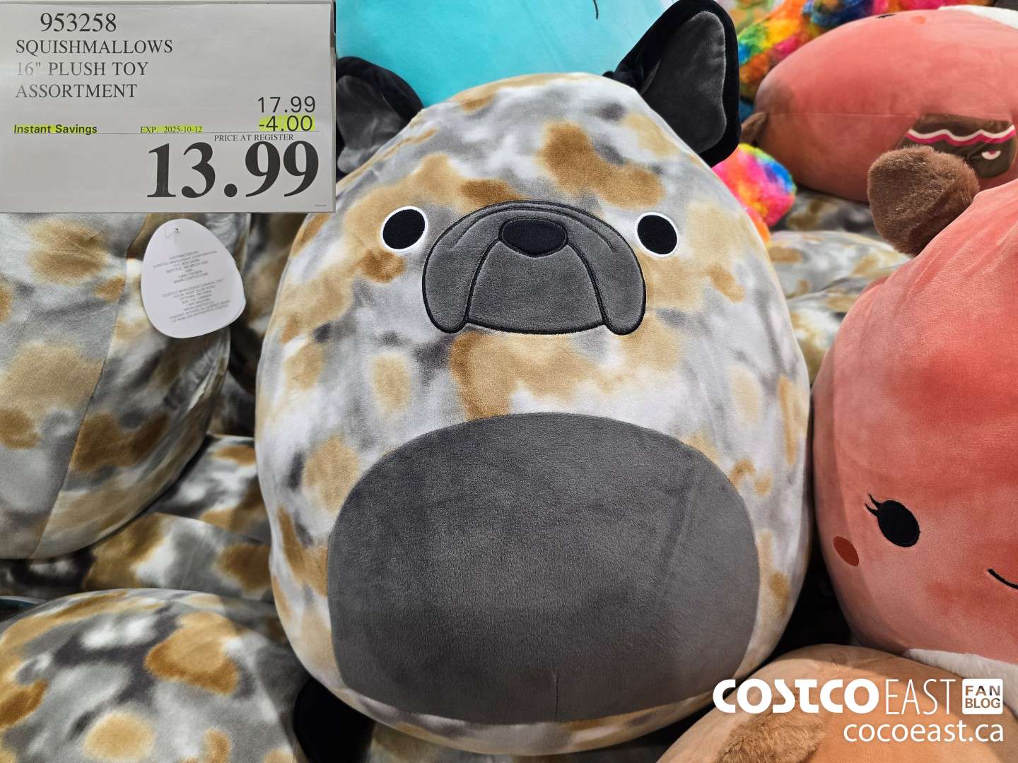 953258 SQUISHMALLOWS 16