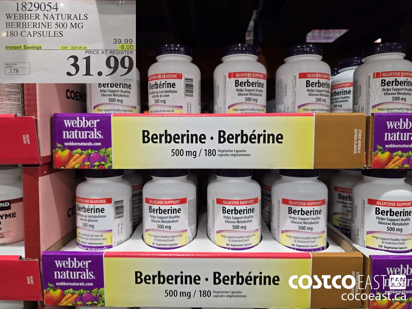 1829054 WEBBER NATURALS BERBERINE 500 MG 180 CAPSULES ($8.00 INSTANT SAVINGS EXPIRES ON 2025-09-28) $31.99