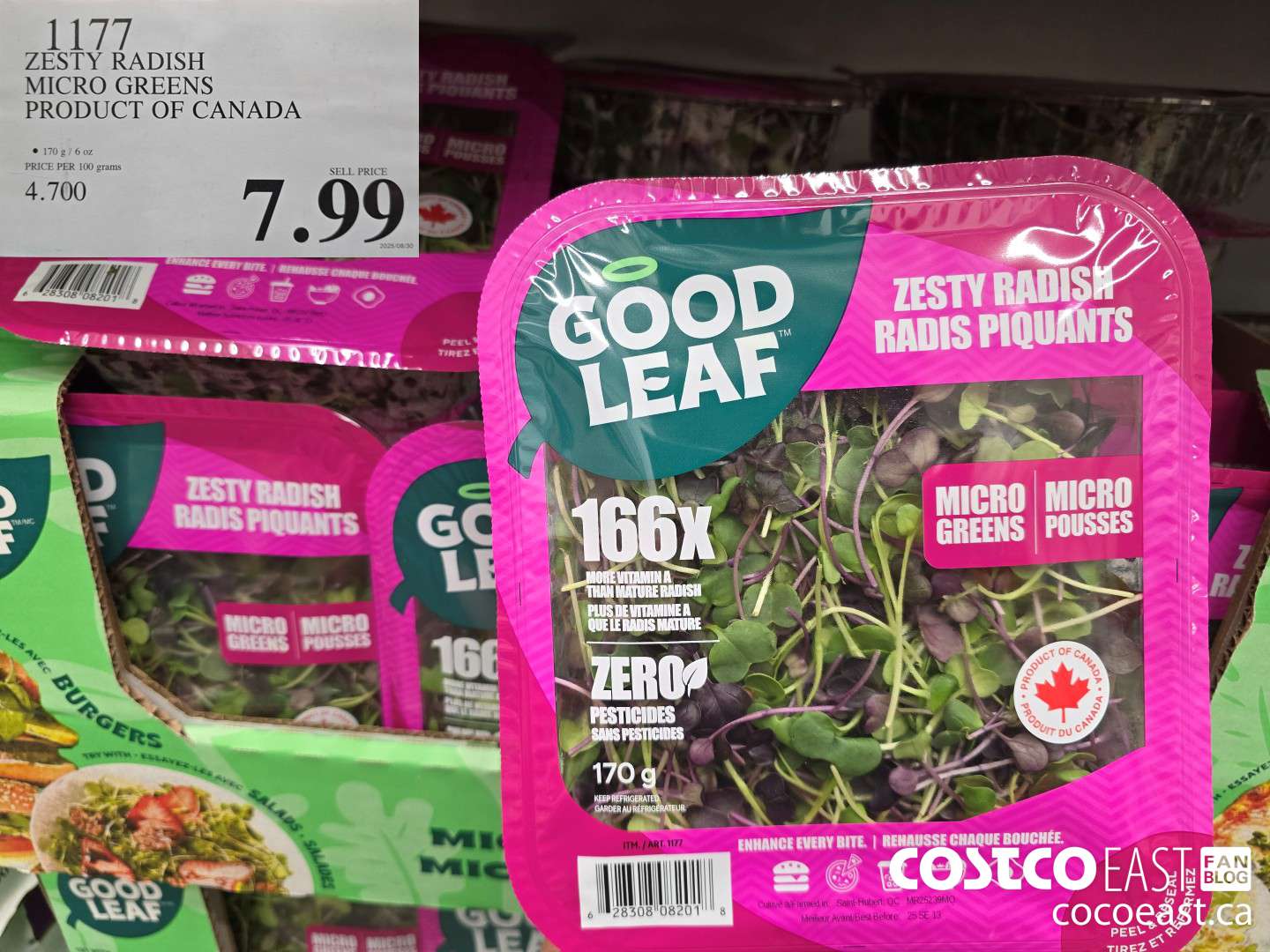 1177 ZESTY RADISH MICRO GREENS PRODUCT OF CANADA $7.99