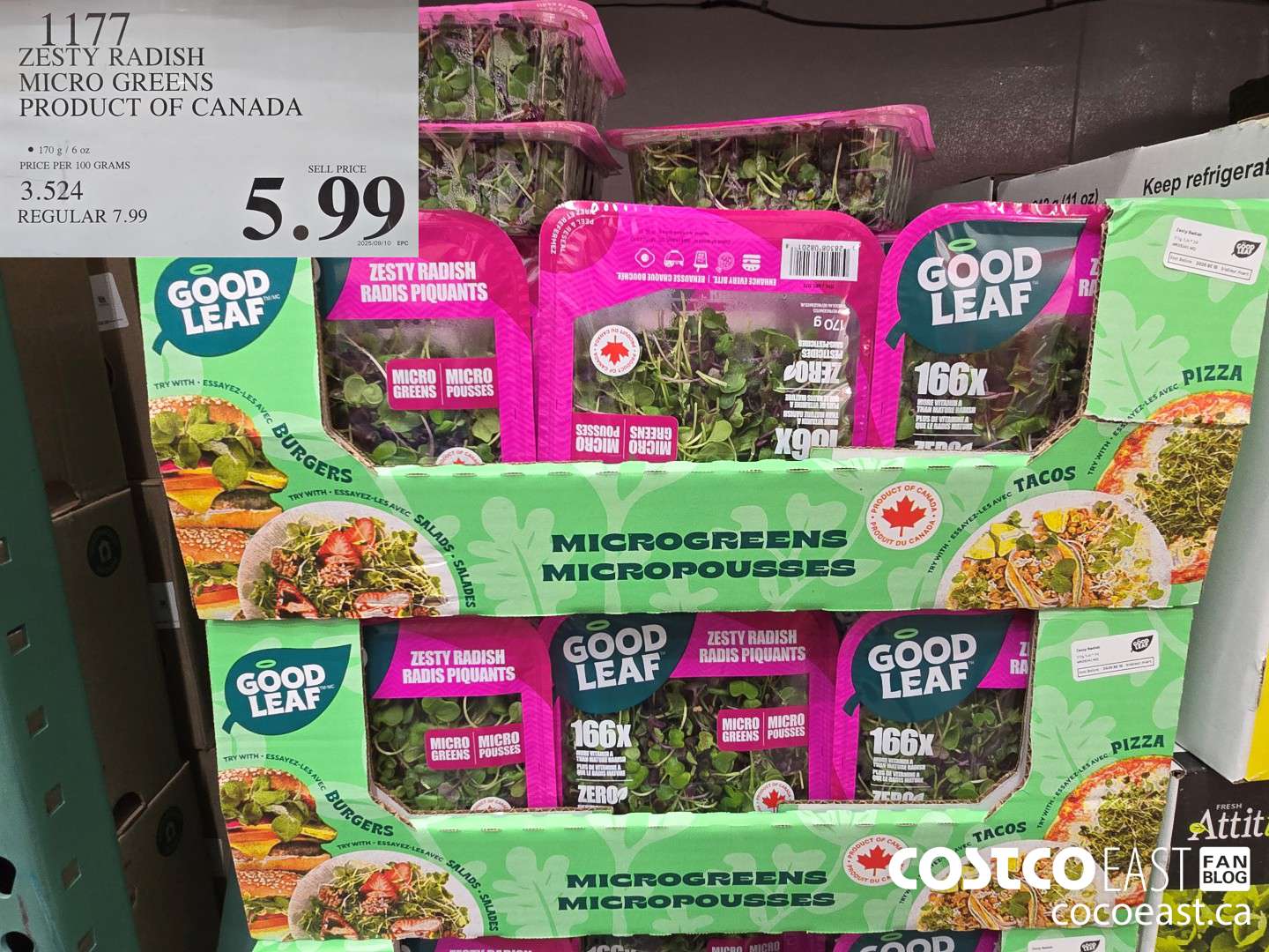 1177 ZESTY RADISH MICRO GREENS PRODUCT OF CANADA $5.99