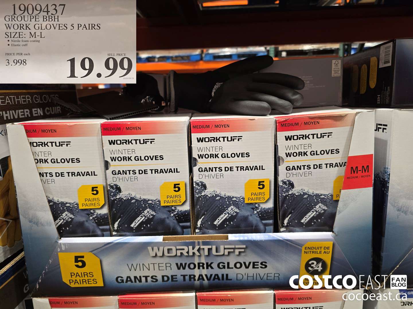 1909437 GROUPE BBH WORK GLOVES 5 PAIRS SIZE: M-L $19.99