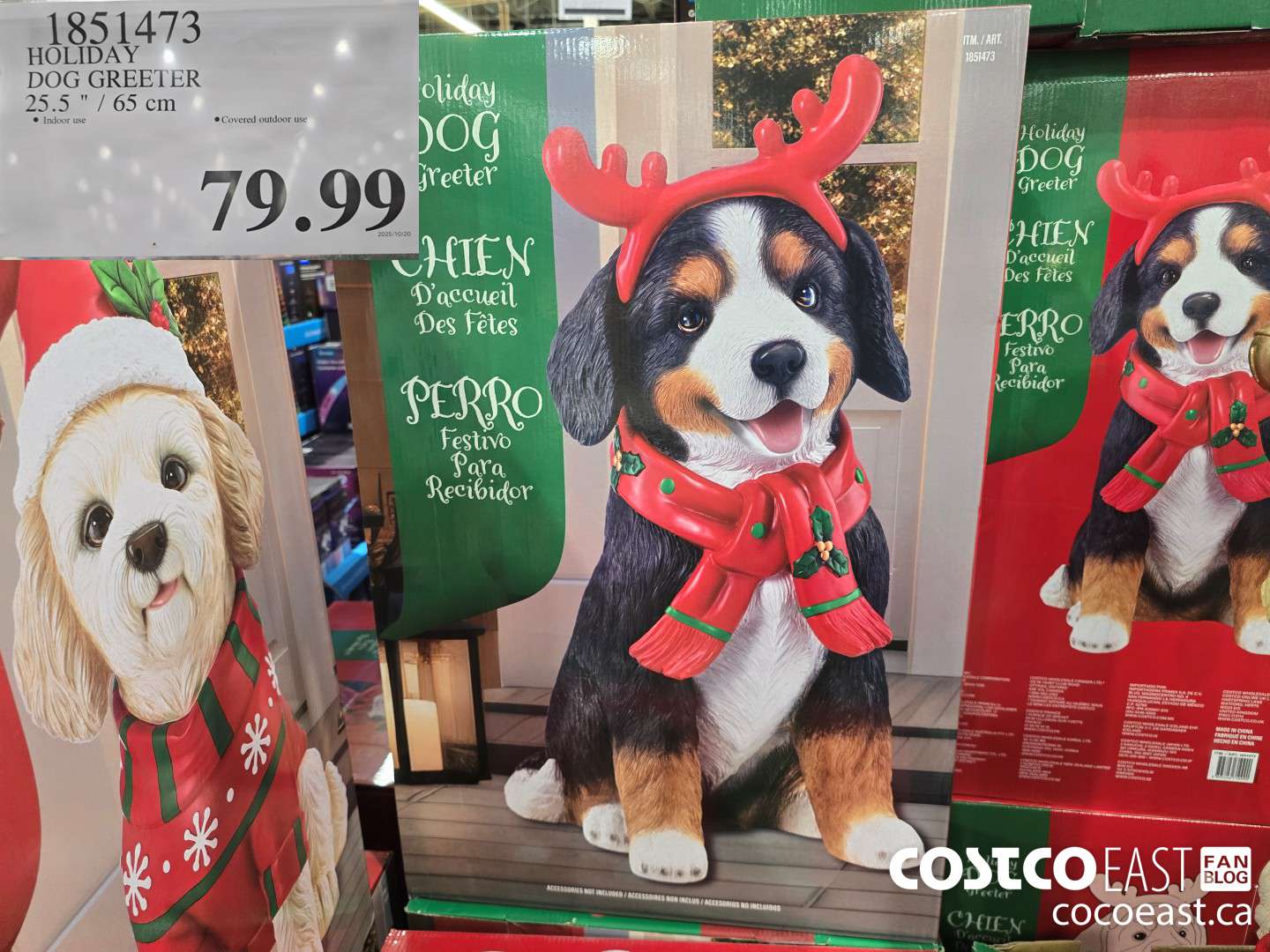 1851473 HOLIDAY DOG GREETER 25.5