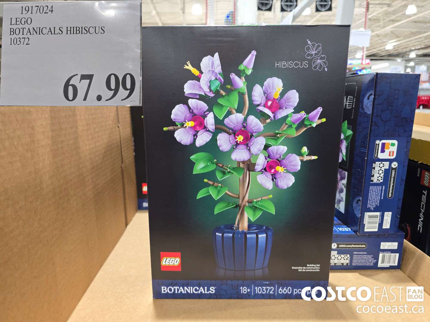 1917024 LEGO BOTANICALS HIBISCUS 10372 $67.99