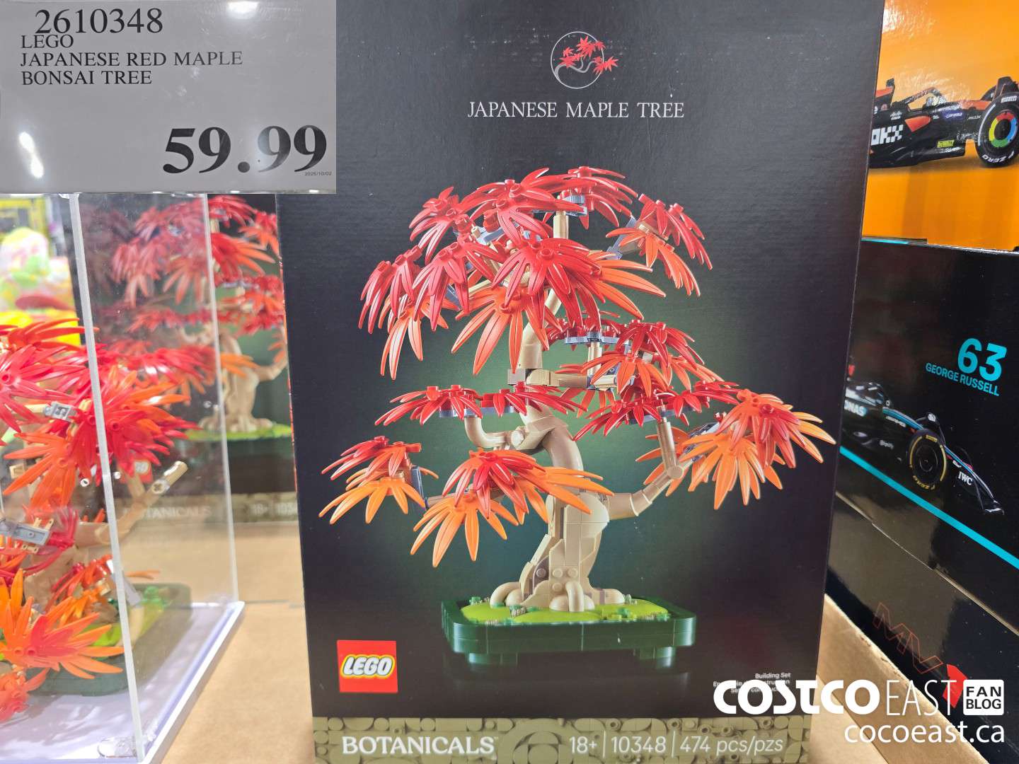 2610348 LEGO JAPANESE RED MAPLE BONSAI TREE $59.99