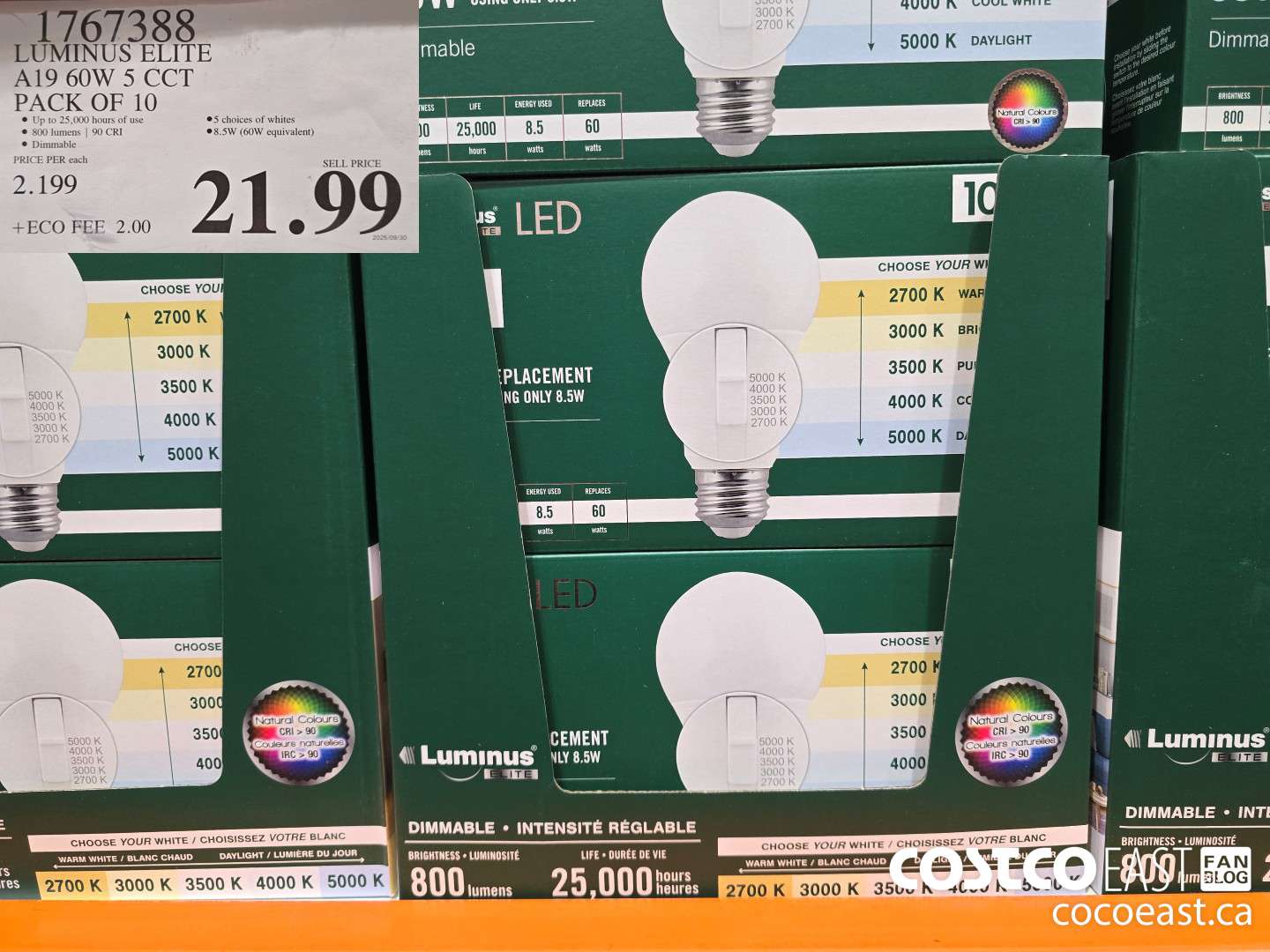 1767388 LUMINUS ELITE A19 60W 5 CCT PACK OF 10 $21.99